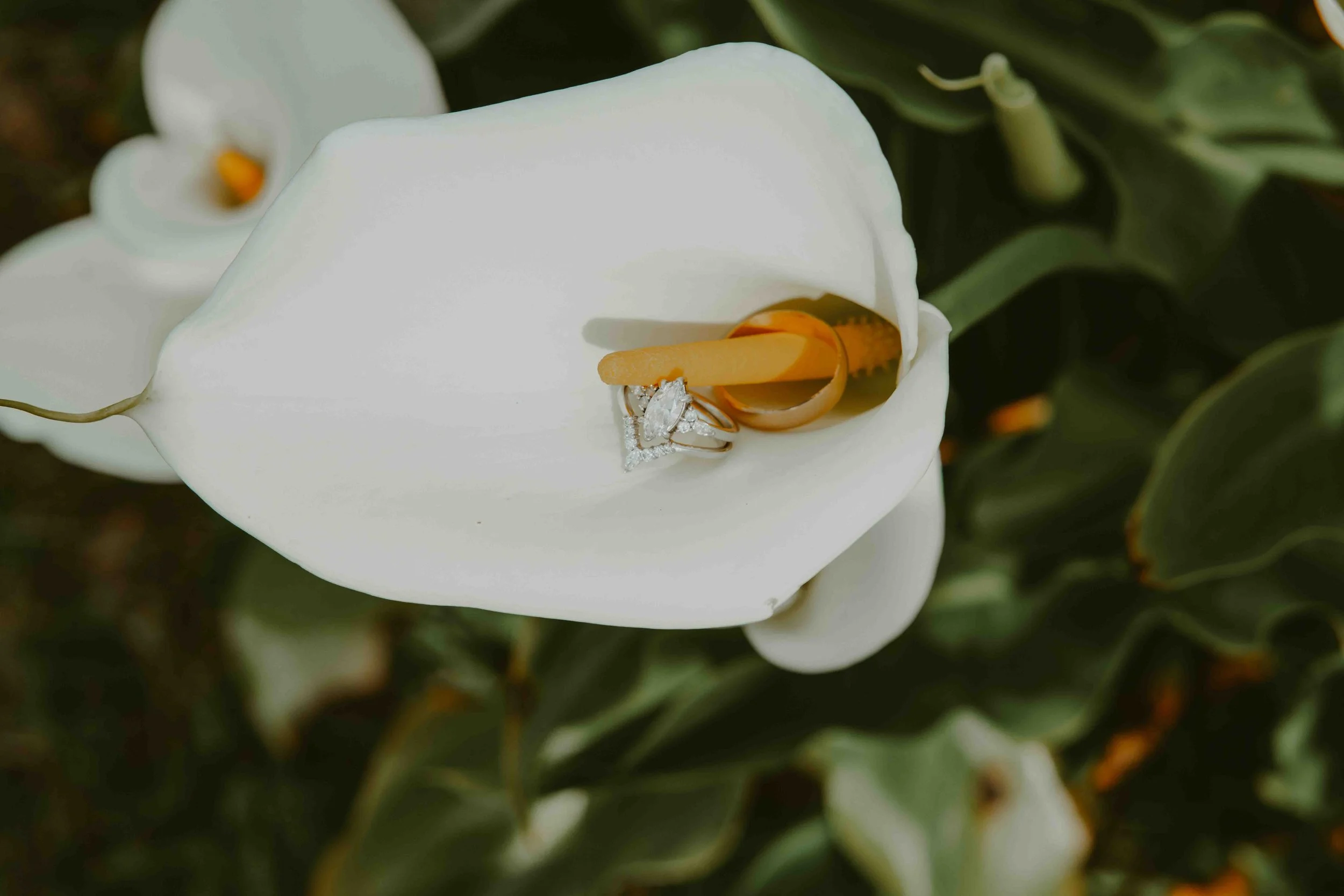 031326_Maddox Elopement_KD Set_020.jpg