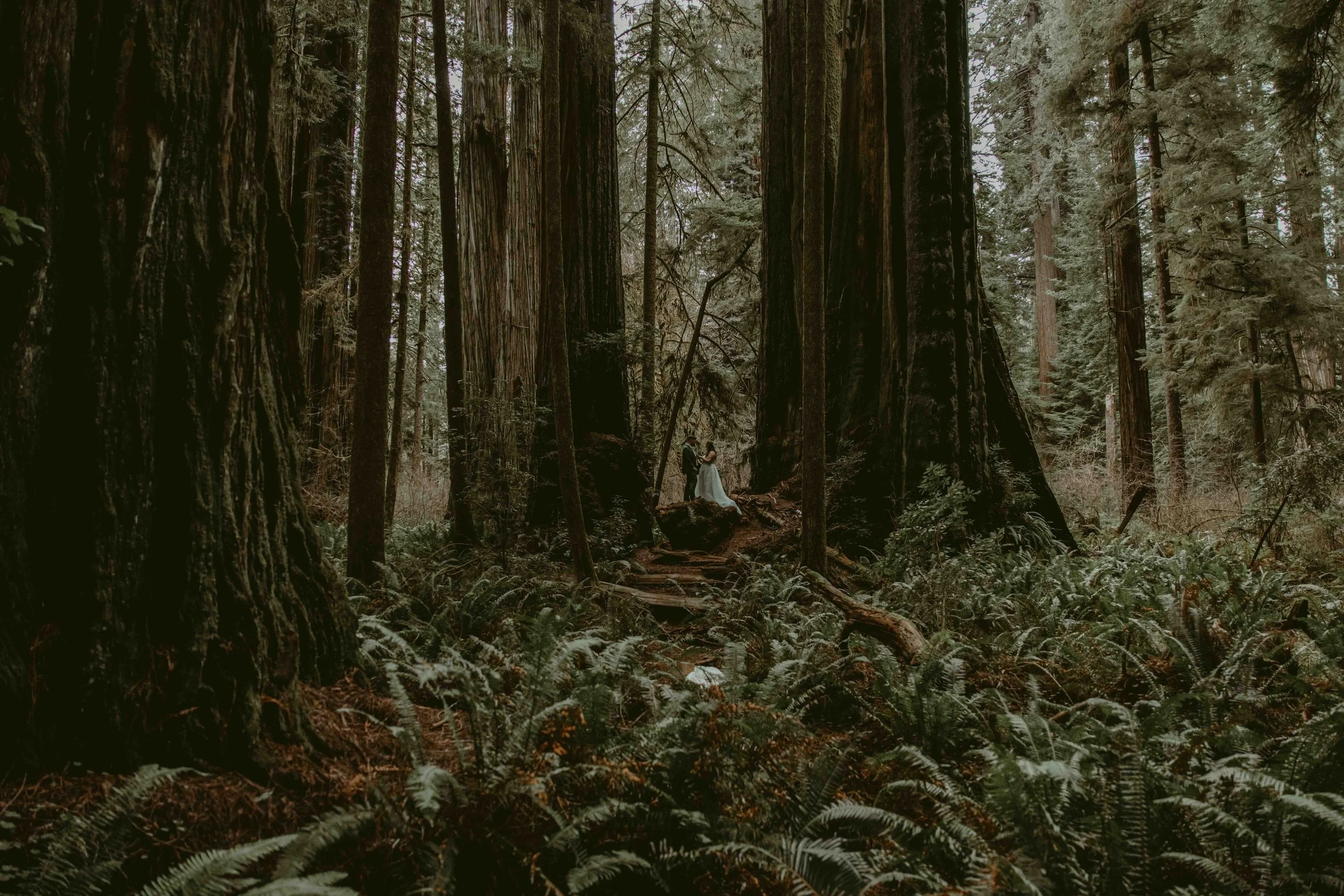 031326_Maddox Elopement_KD Set_209.jpg