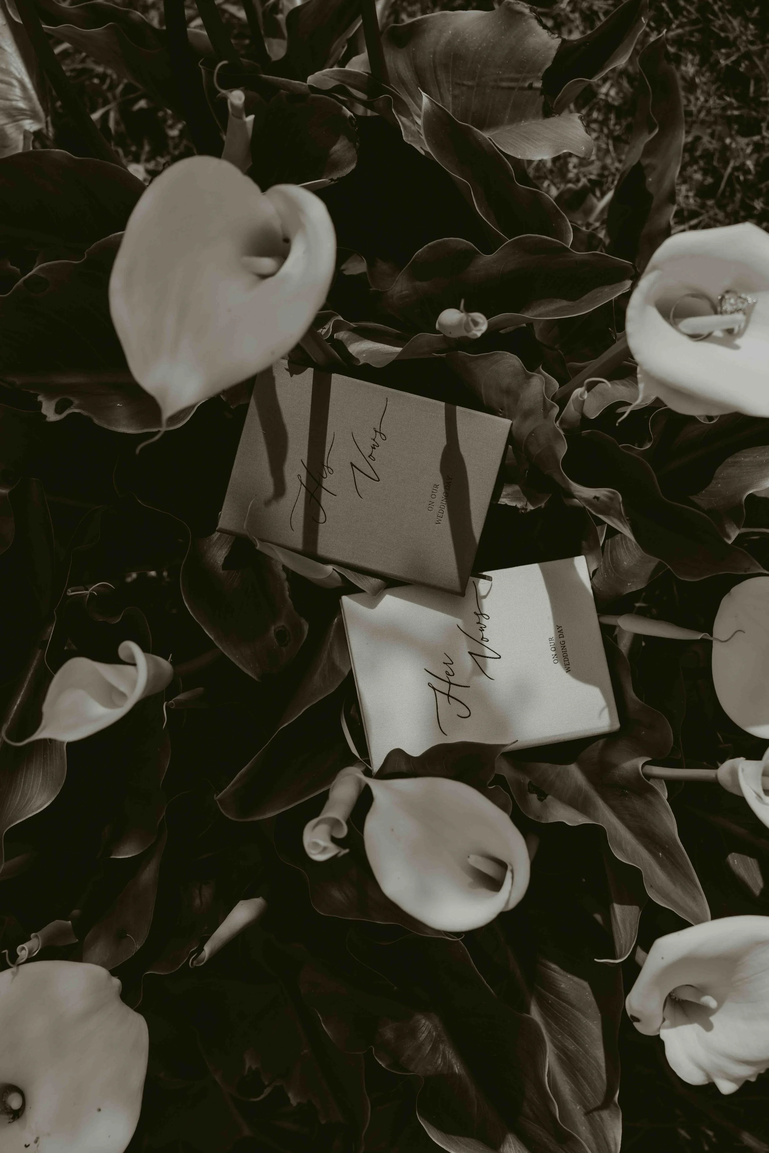 031326_Maddox Elopement_KD Set_023.jpg