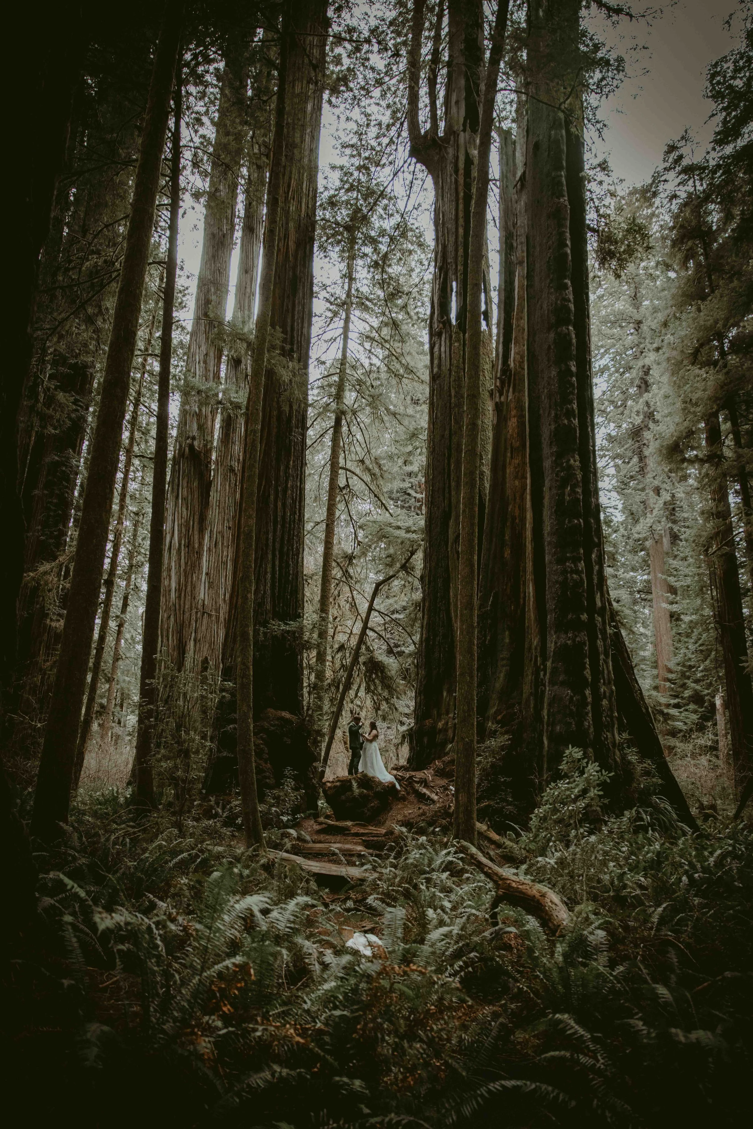 031326_Maddox Elopement_KD Set_211.jpg