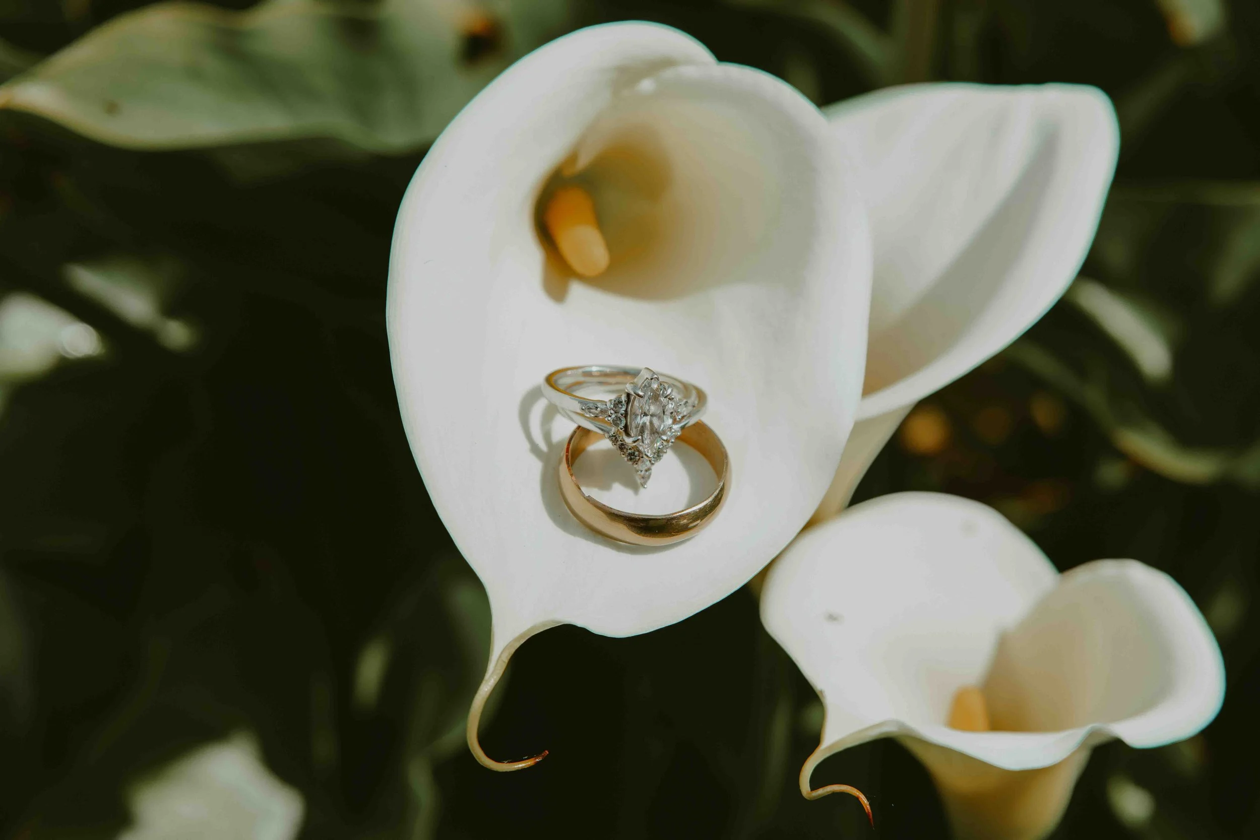 031326_Maddox Elopement_KD Set_028.jpg