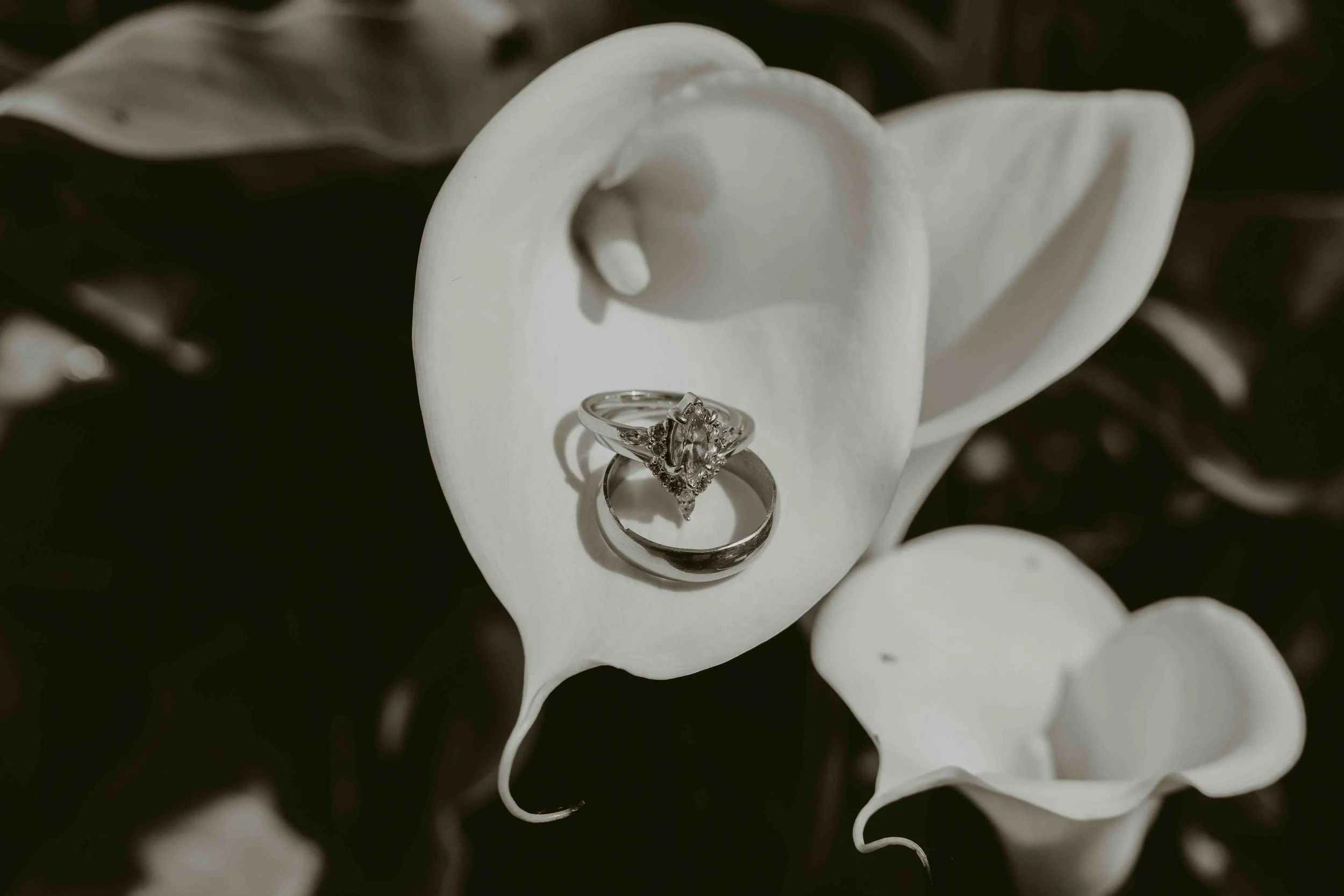 031326_Maddox Elopement_KD Set_027.jpg