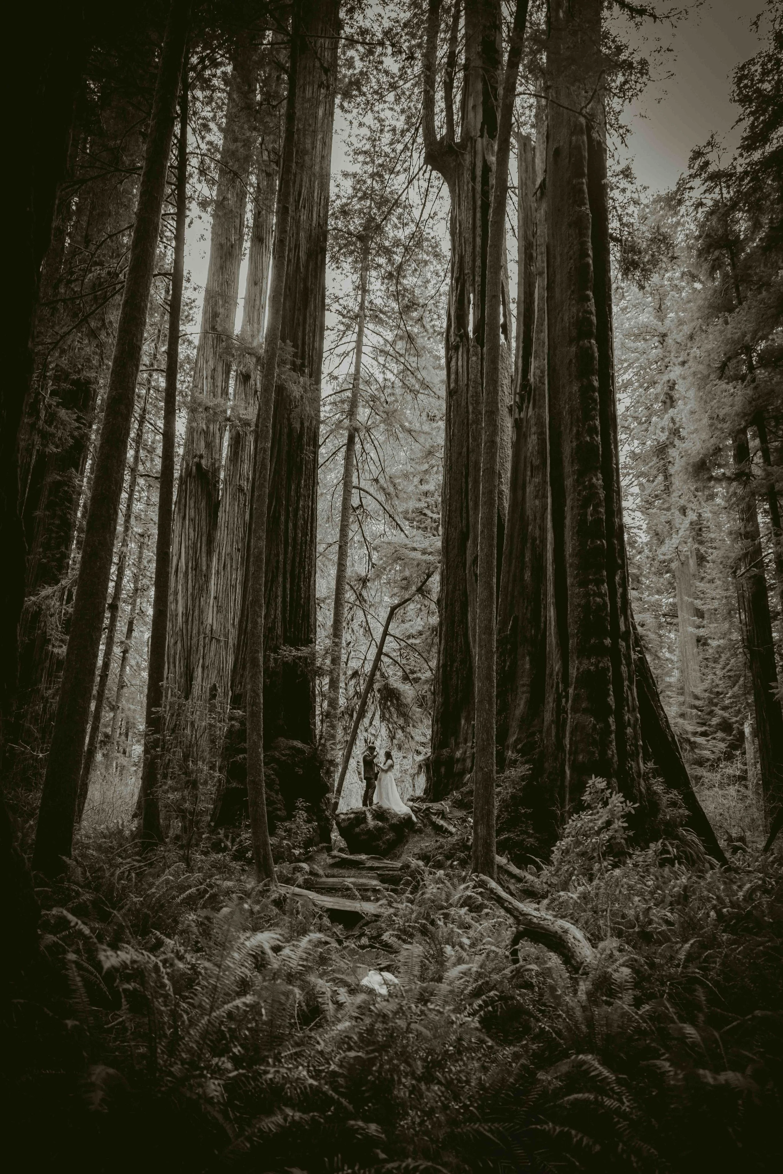 031326_Maddox Elopement_KD Set_210.jpg