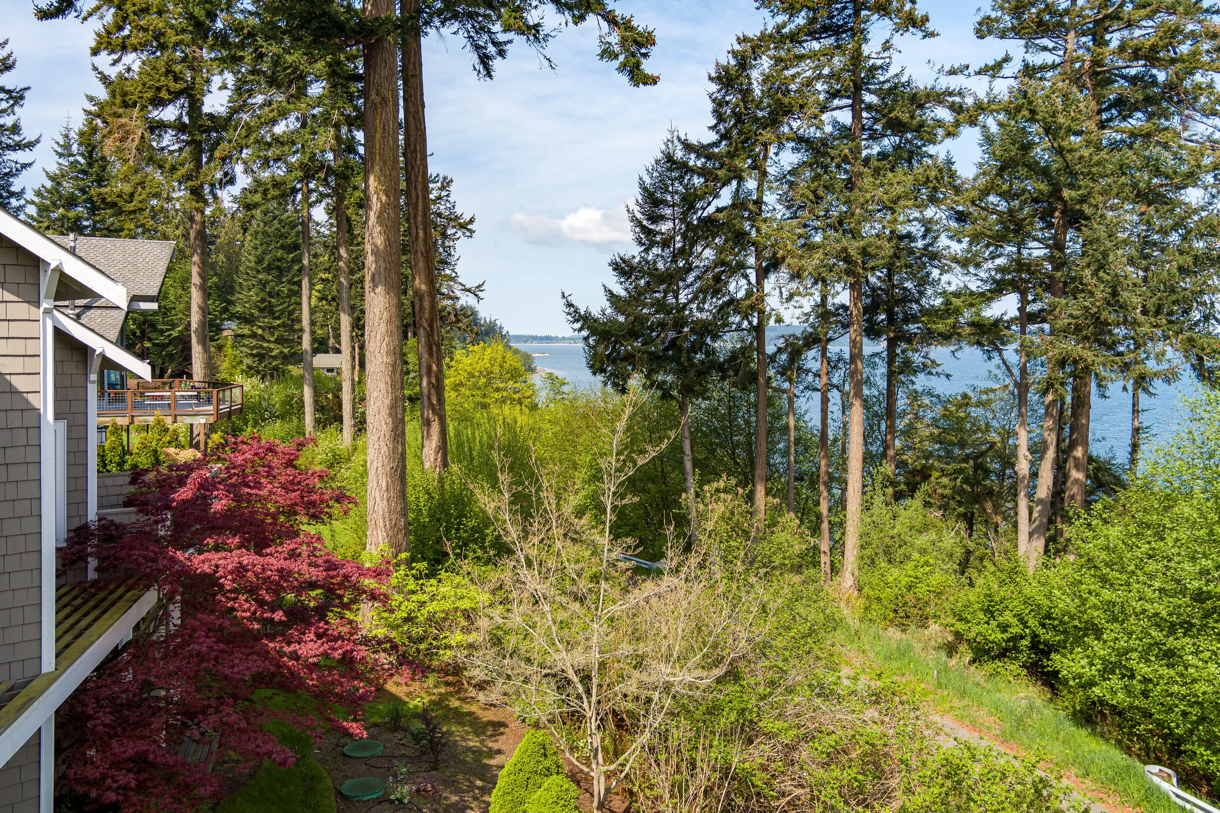 SnowberryLanePhotography-Gulden-2418-EastPoint-7.jpg-FULL.JPG