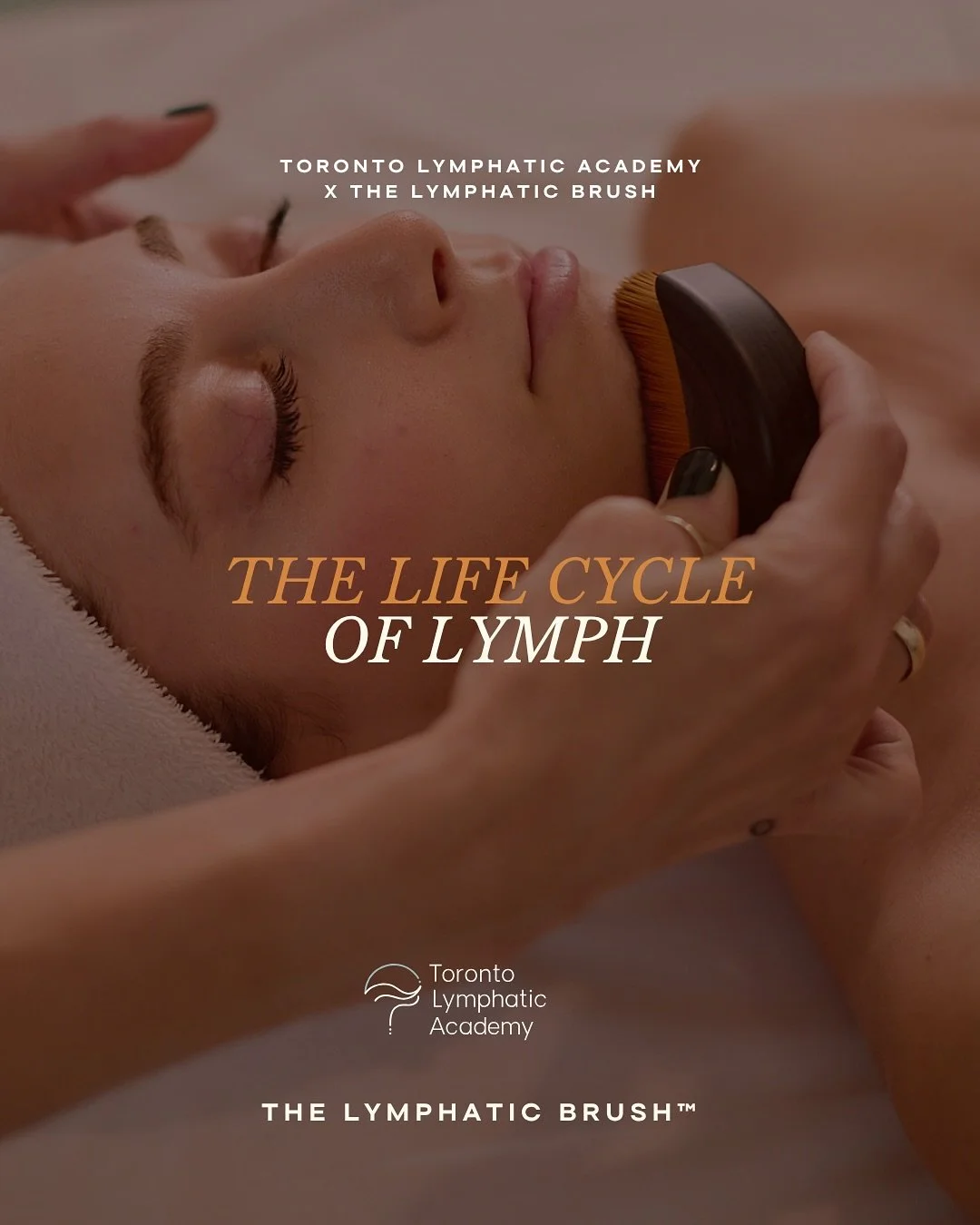 Let&rsquo;s talk about the life cycle of lymph.

🍃It nourishes your skin cells
🍃Clears cellular waste
🍃Regulates immunity and tone

But when flow slows, inflammation, puffiness, and dullness appear.

Learn to restore movement and filtration using 