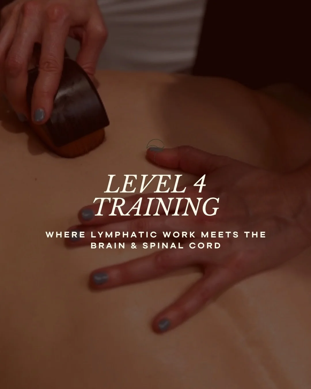 Level 4 is where lymphatic work meets the brain and spinal cord 🧠

In this advanced training, practitioners learn how to support the glymphatic system, the brain&rsquo;s waste clearance pathway responsible for removing metabolic debris and inflammat