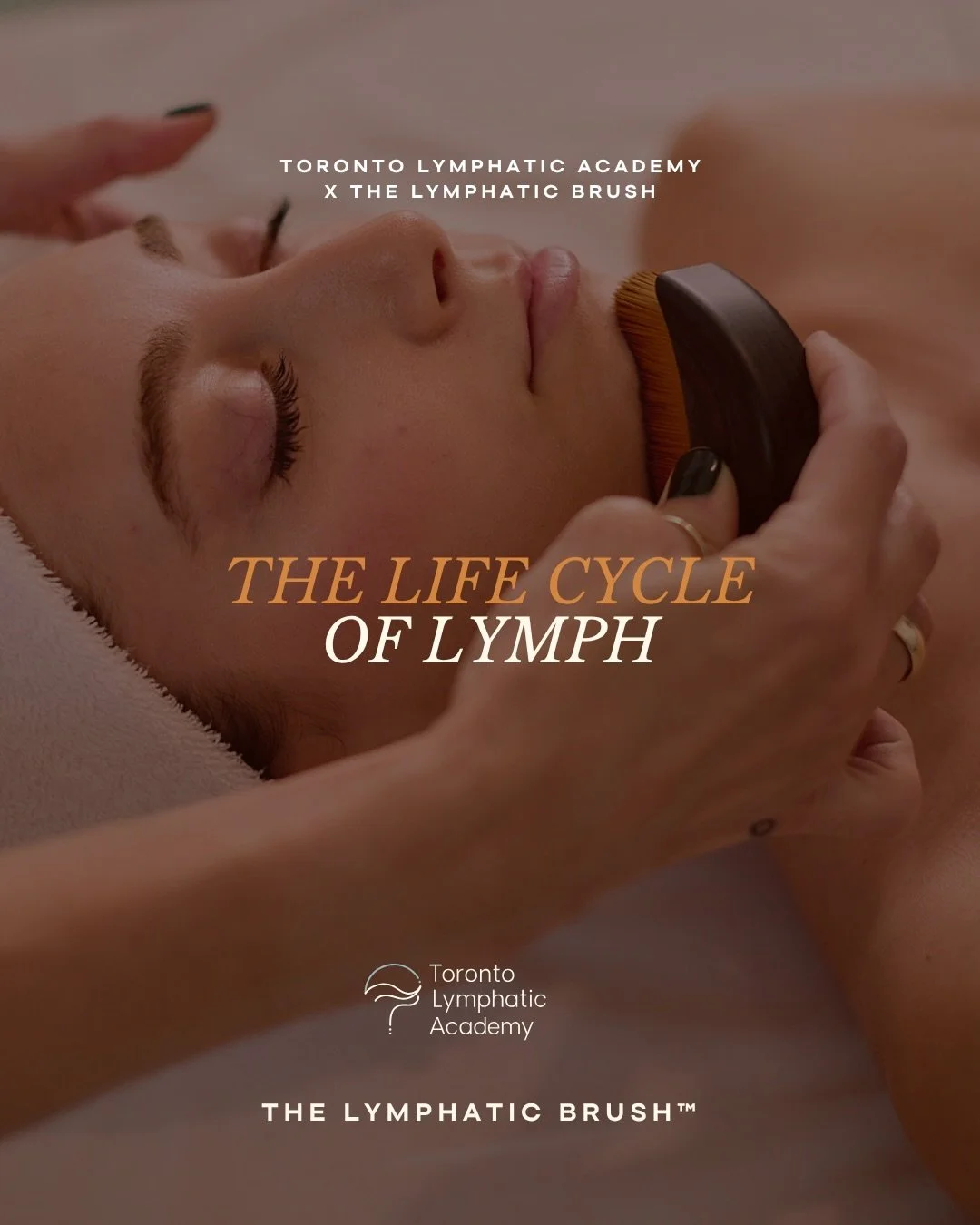 Let&rsquo;s talk about the life cycle of lymph. 

🍃It nourishes your skin cells 
🍃Clears cellular waste 
🍃Regulates immunity and tone 

But when flow slows, inflammation, puffiness, and dullness appear. Learn to restore movement and filtration usi