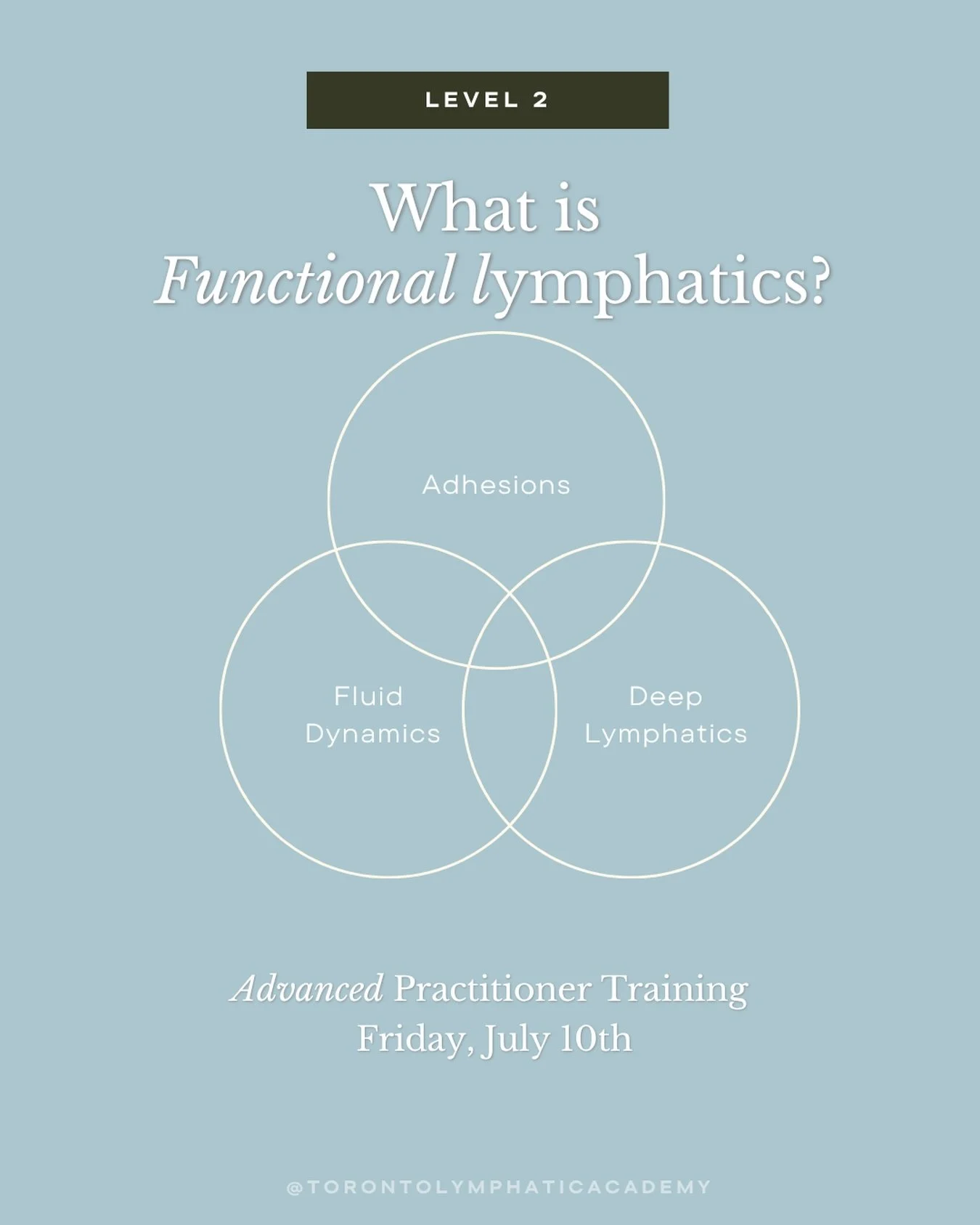 Functional Lymphatics is where lymphatic drainage becomes clinical.

Level 1 teaches you how to confidently perform superficial face, neck, and full body lymphatic drainage.

Level 2 is where you learn why your clients continue to struggle with chron