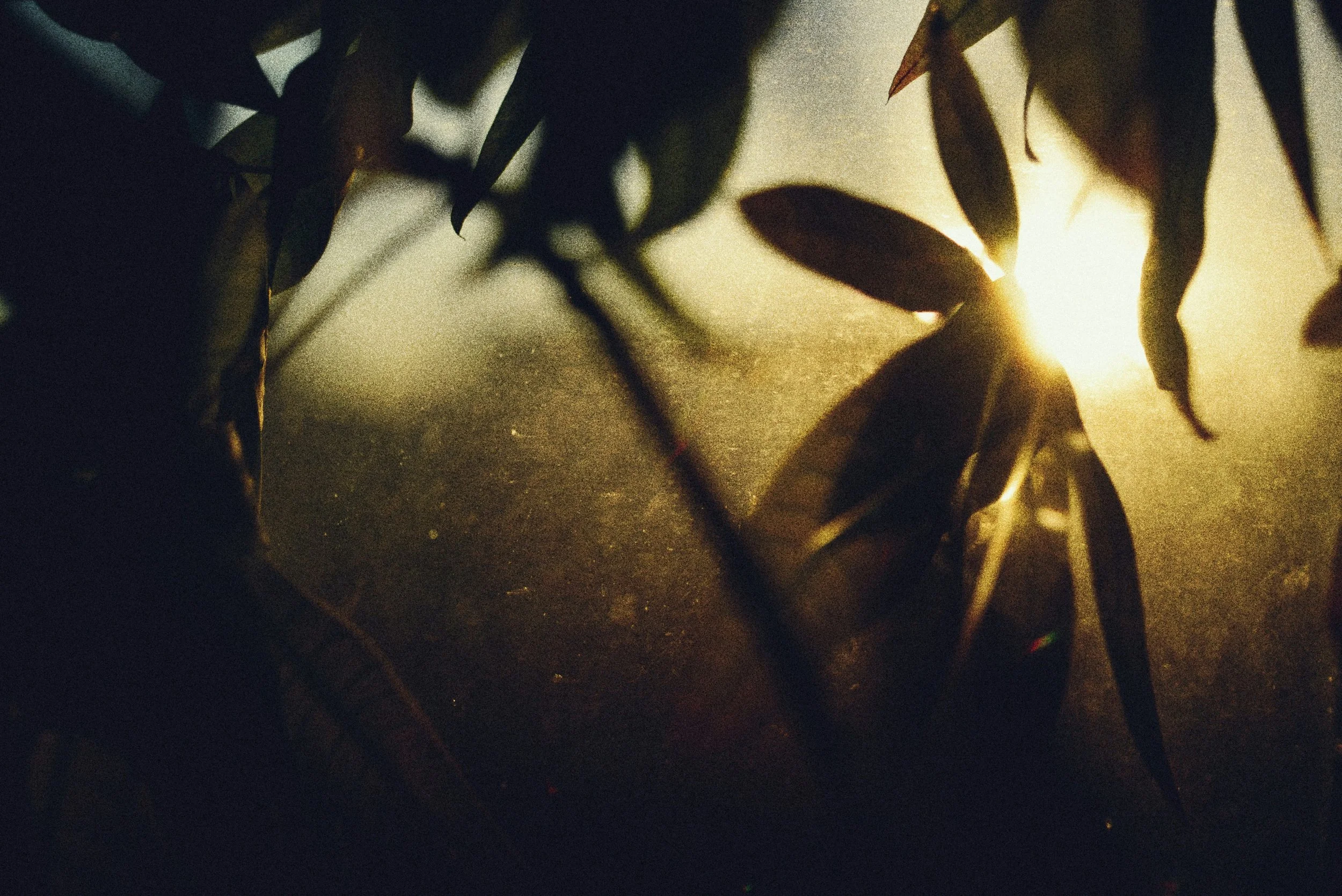 Why Healers Under-Earn Webinar