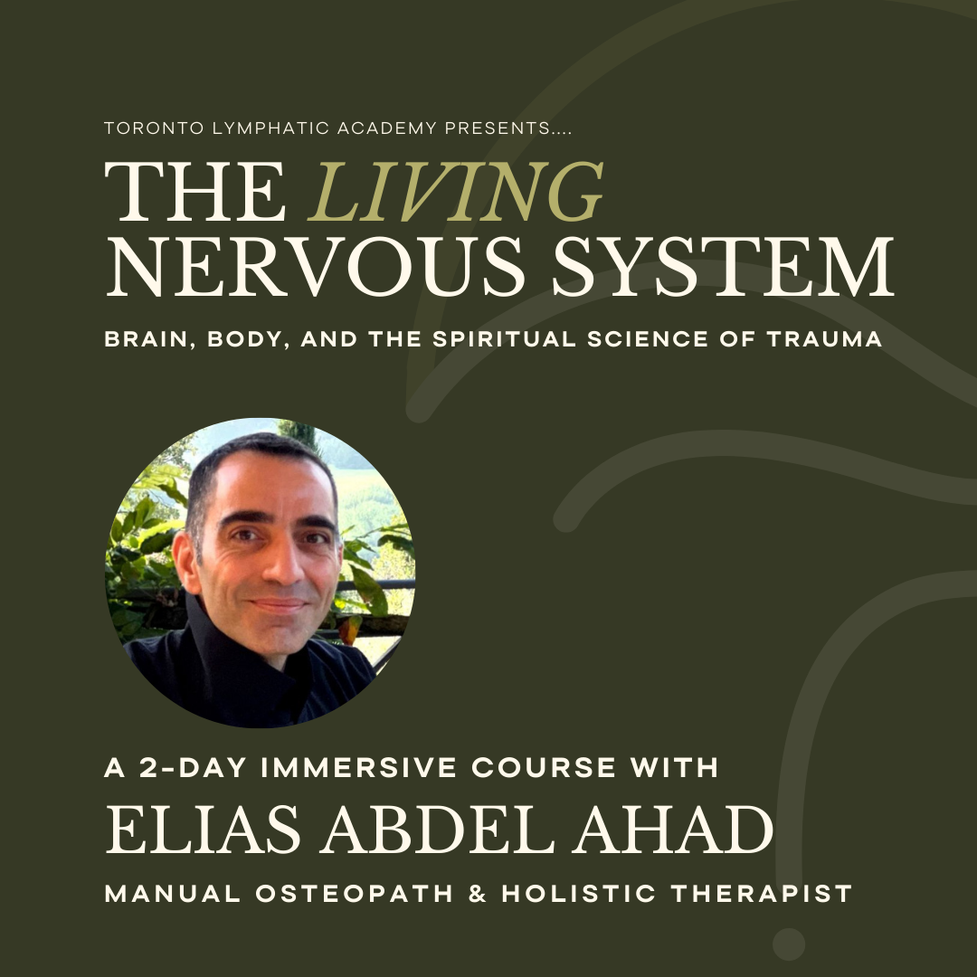 The Living Nervous System.png