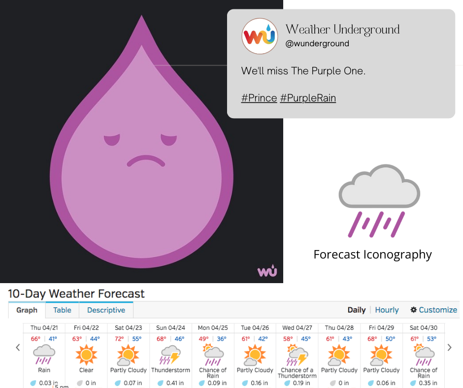 Copy of Untitled Design.png