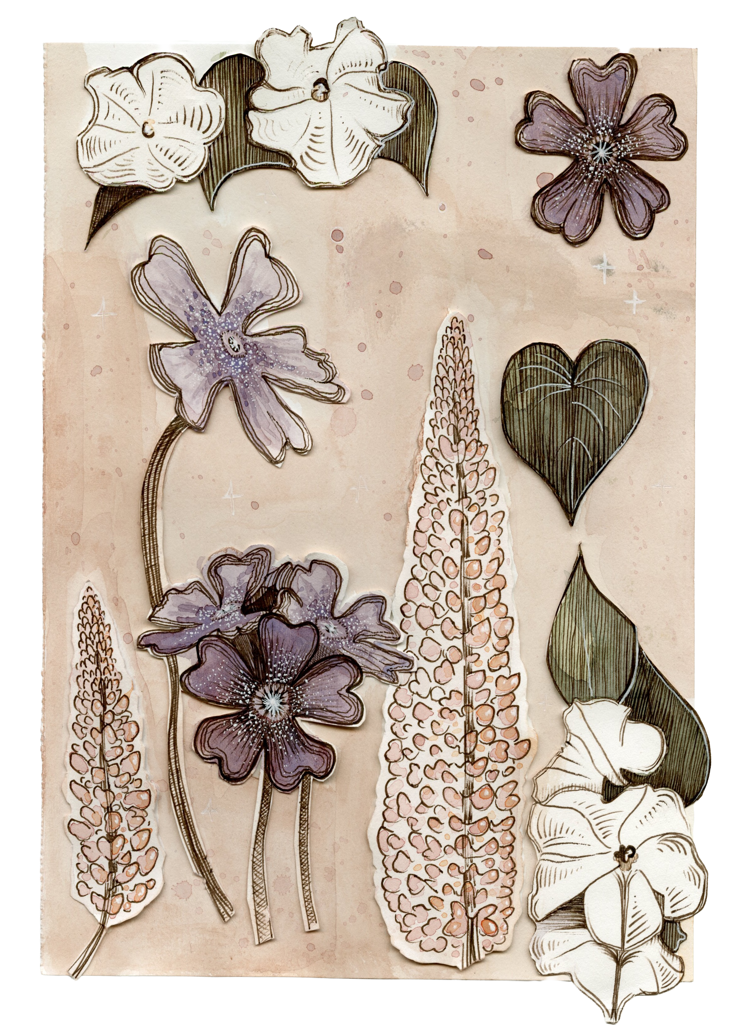 plantprojecttransparent.png
