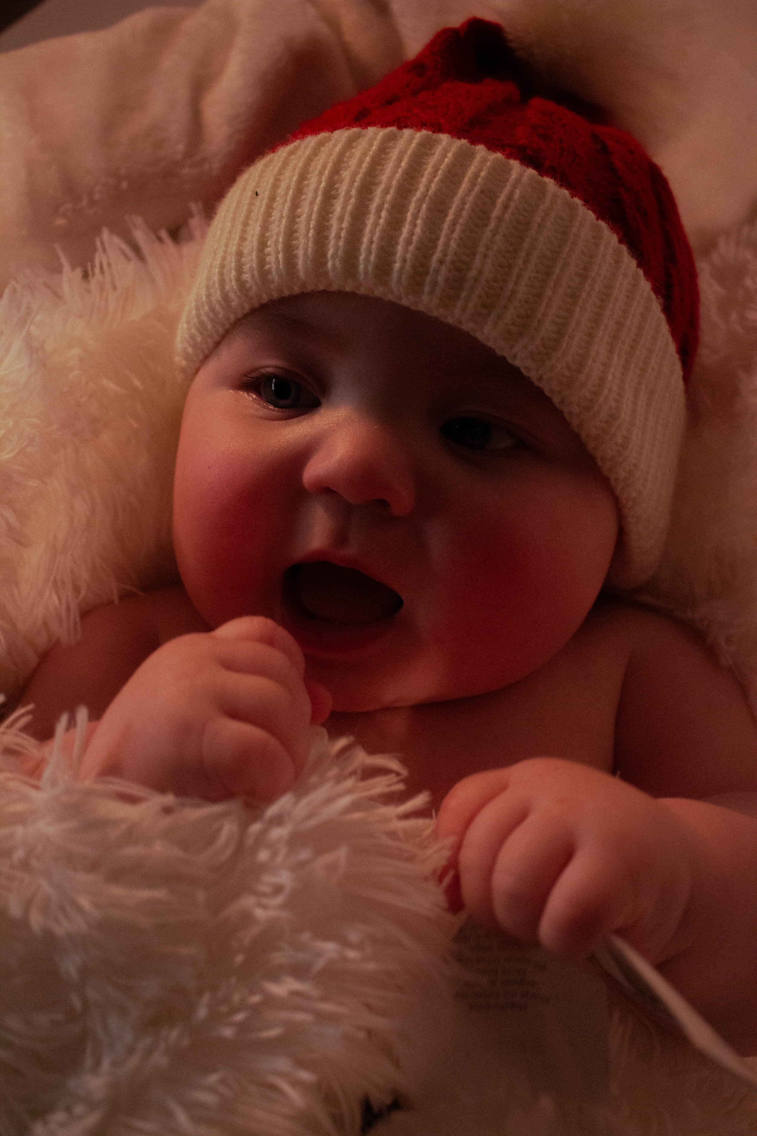 ChristmasFinalEShaw-20.jpg