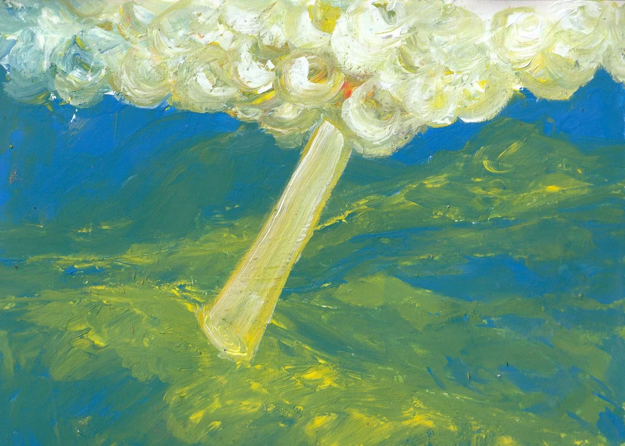 "Skies 16"