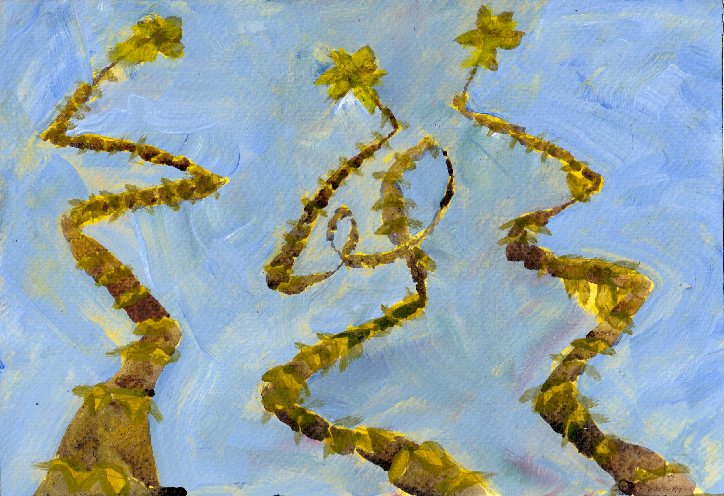 "Twisted Palms" (2026)