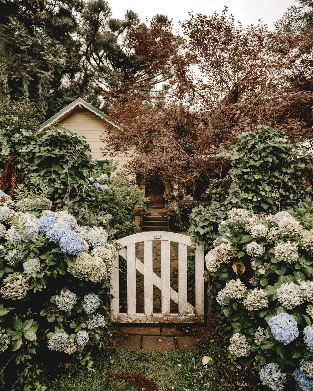 "The true beauty of nature is in its simplicity." - Unknown.

Amy Phillips , Realtor
Call It Closed International Realty
407-792-8212
amyisyouragent@gmail.com