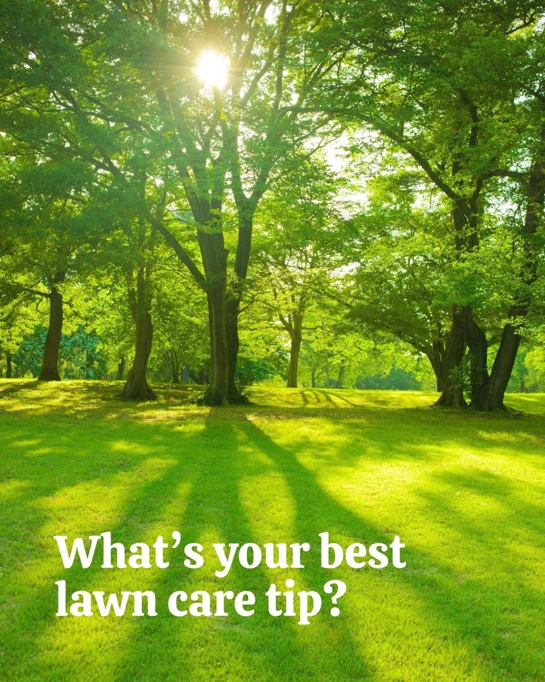 Let's hear your 🌱 secrets! Comment below...

Amy Phillips , Realtor
Call It Closed International Realty
407-792-8212
amyisyouragent@gmail.com