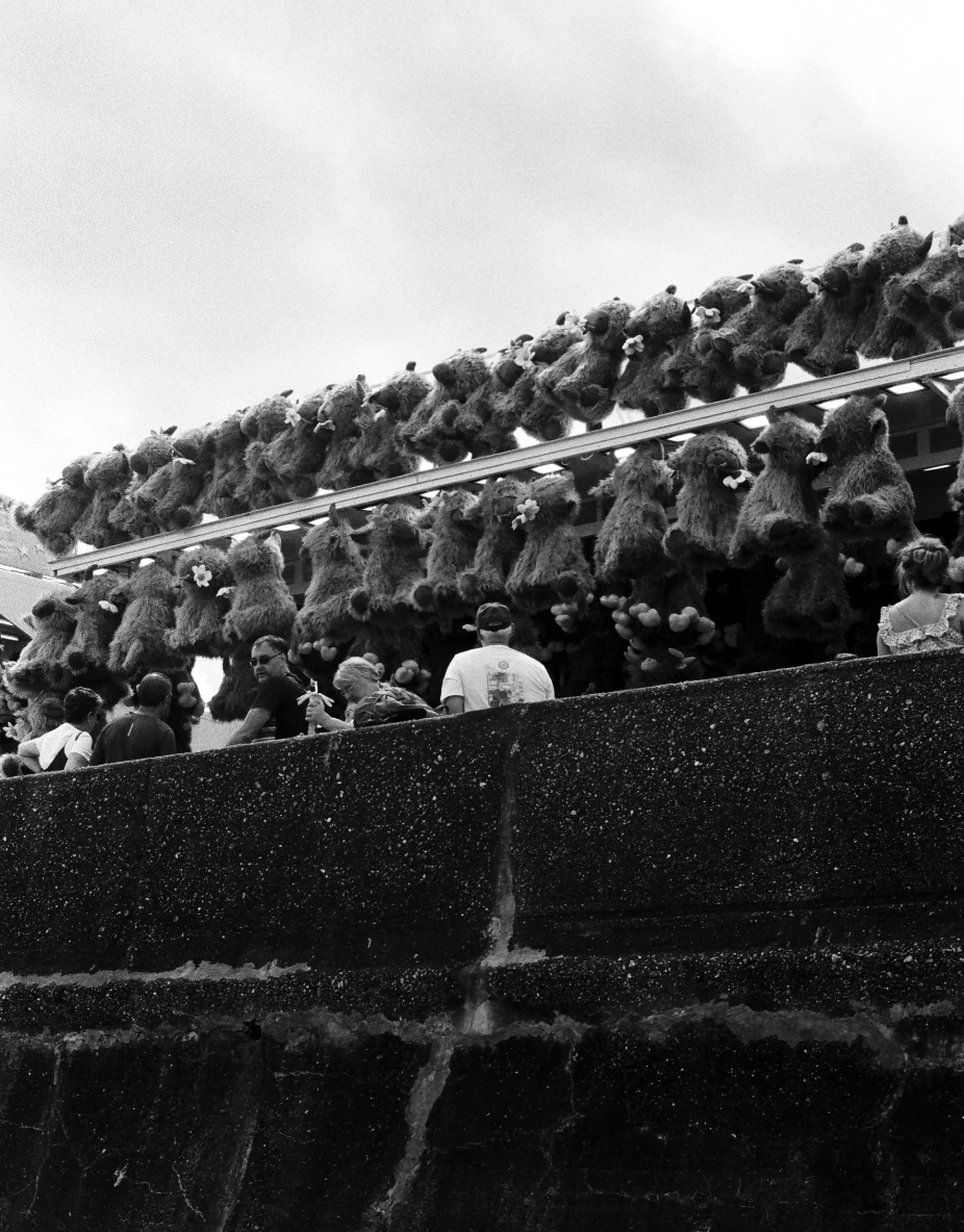 Screenshot 2026-03-02 at 15.26.24.png