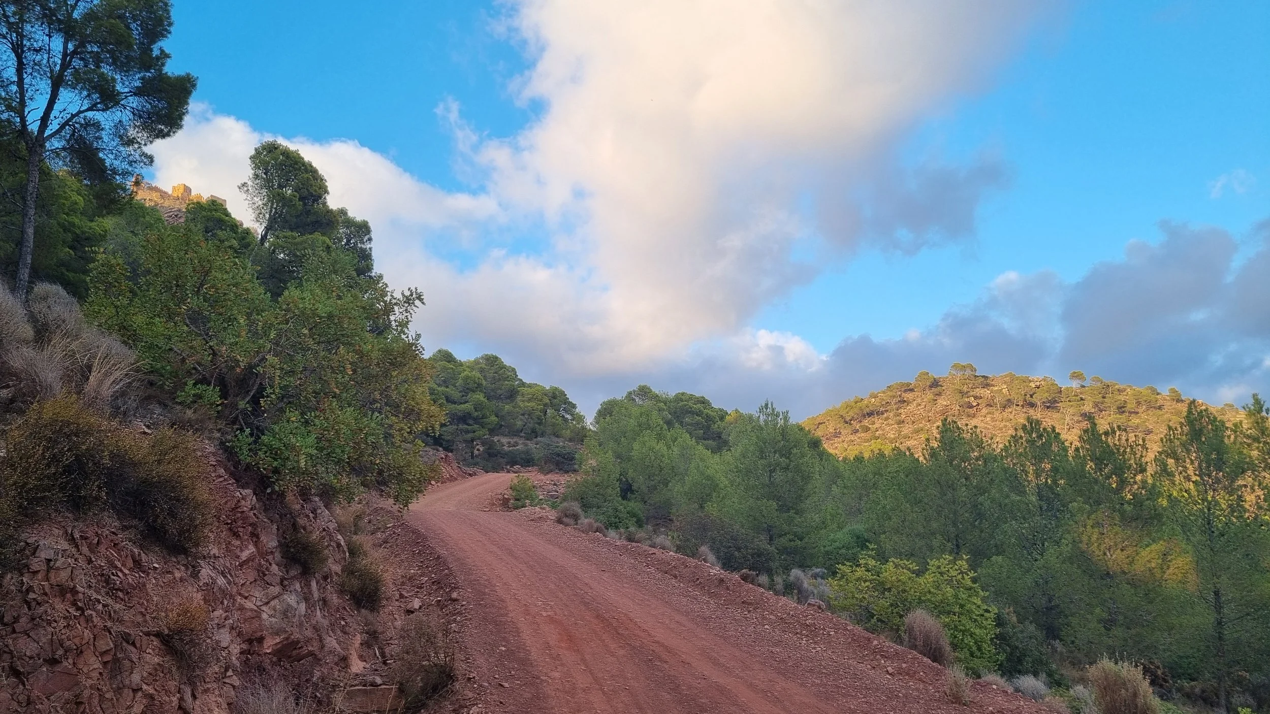 20240524_203303 (1).jpg