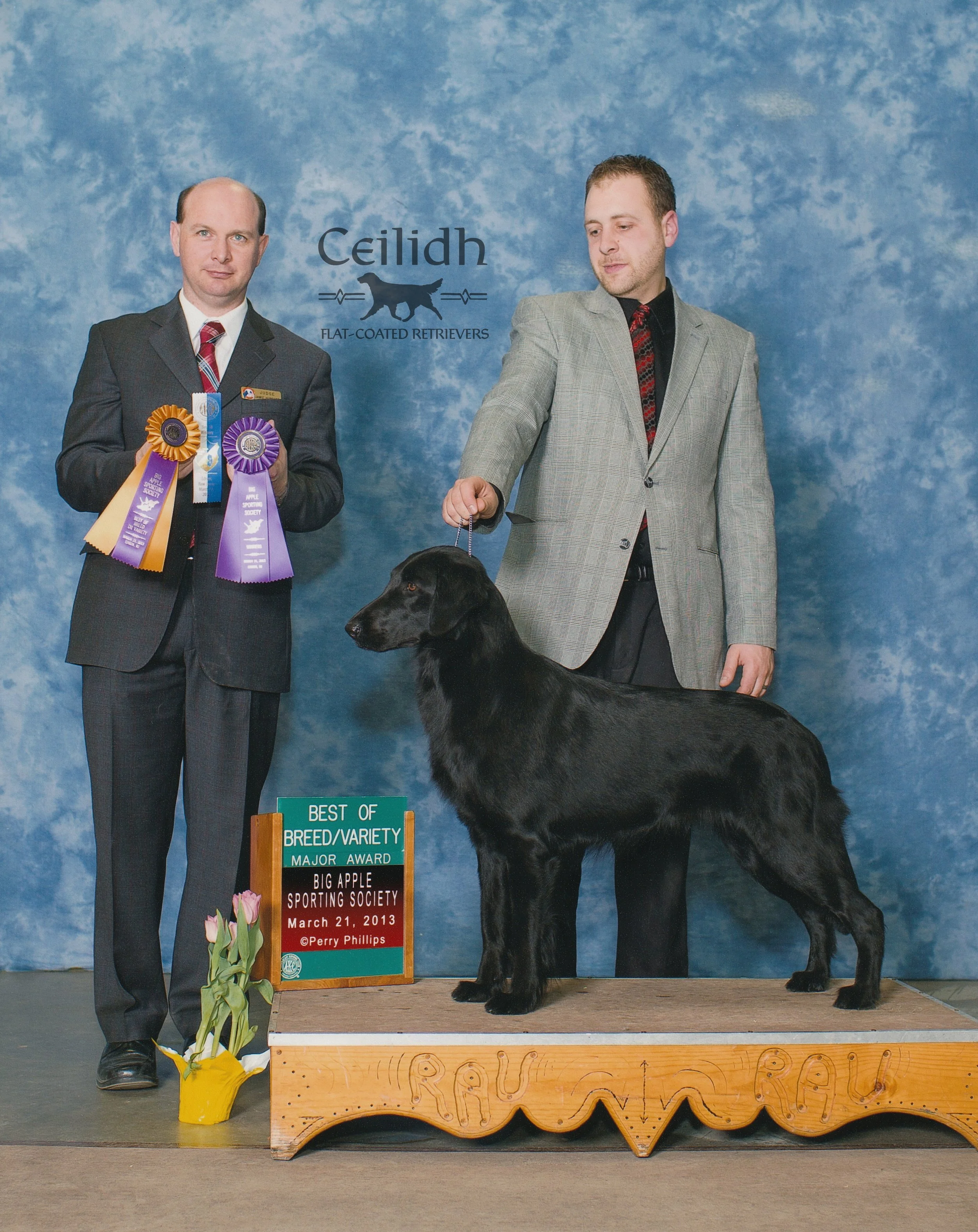 Gracie 2013