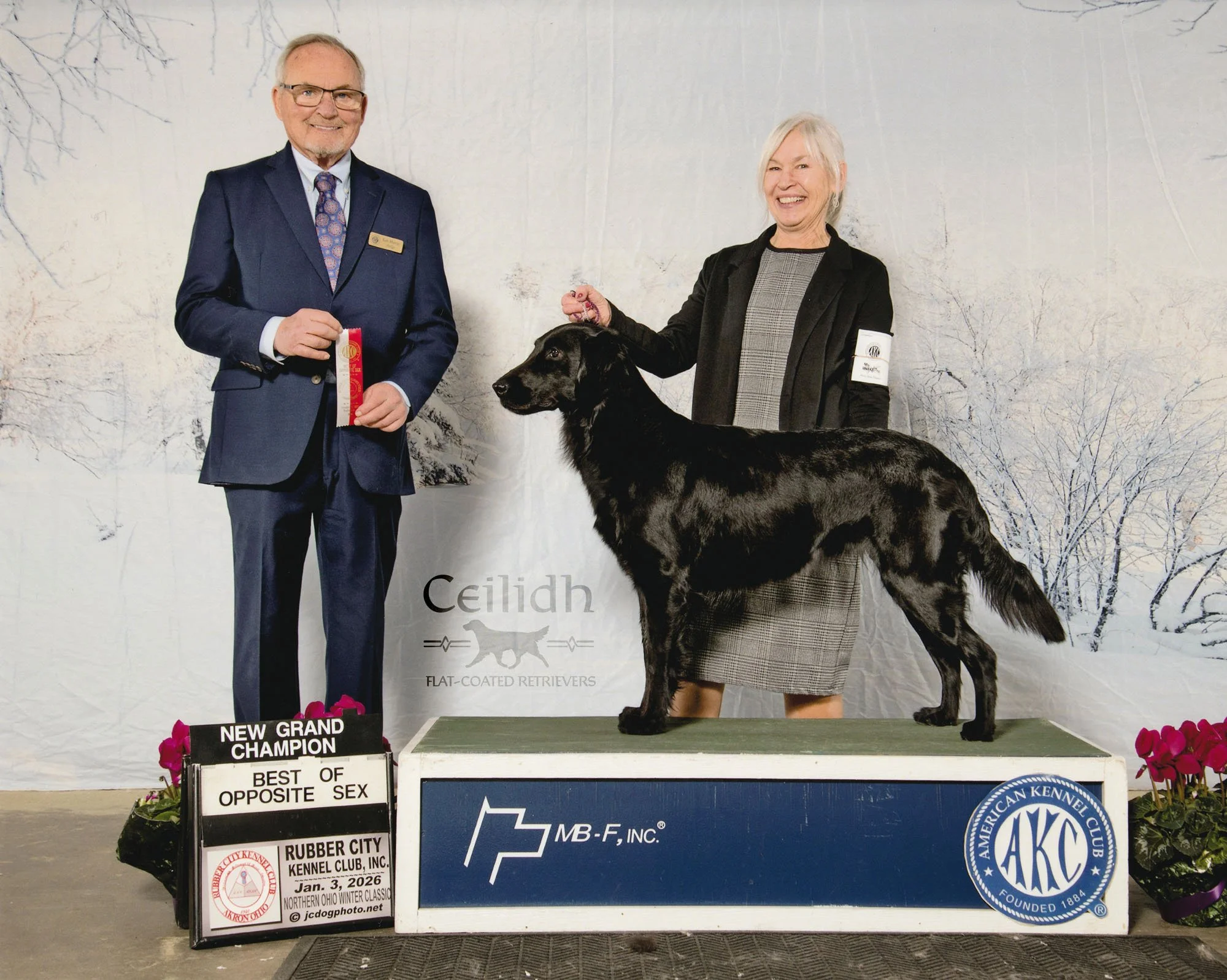 Phoebe New Grand Champion