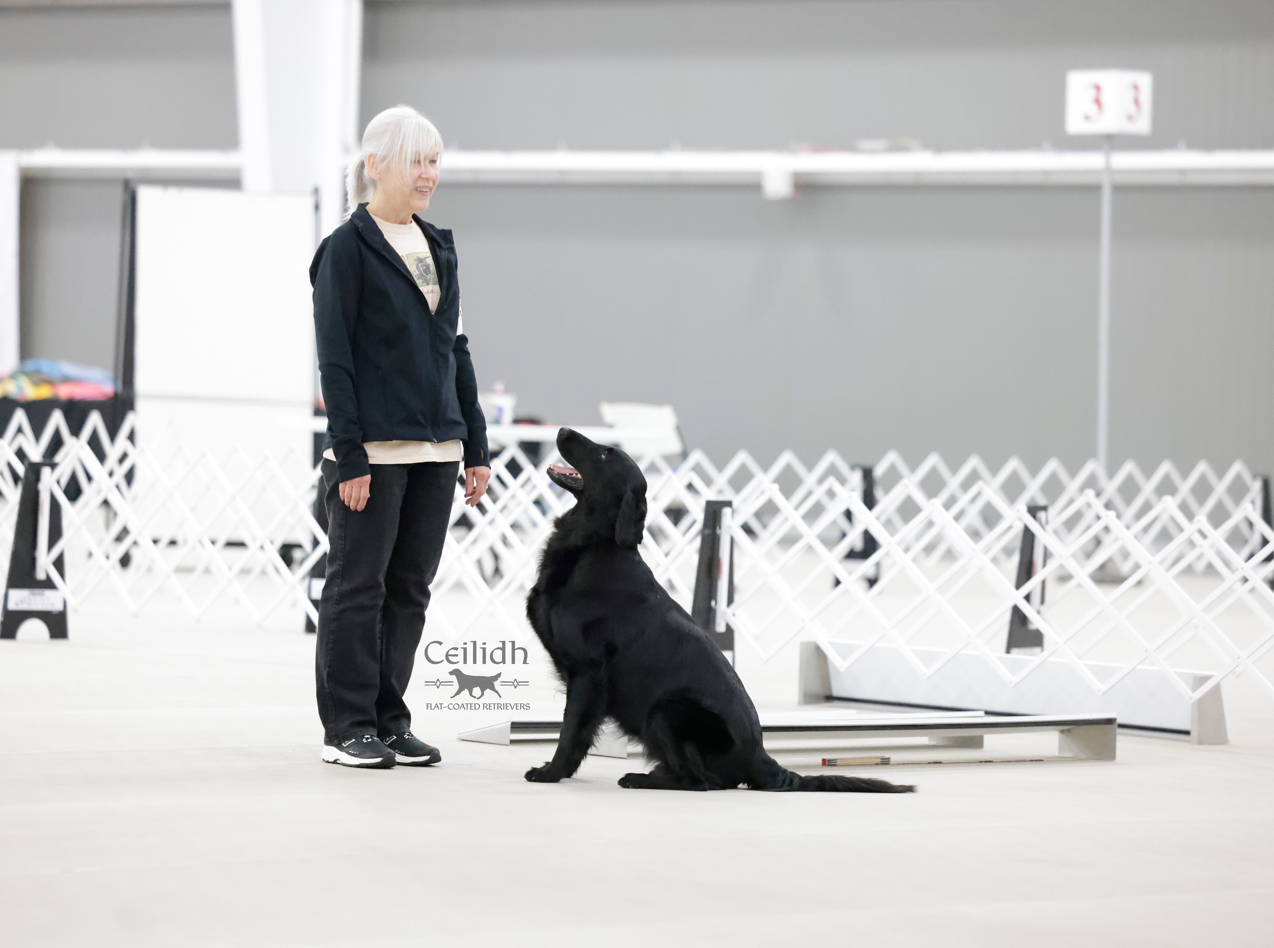 Rosie 2026 FCRSA National Specialty Open A Obedience