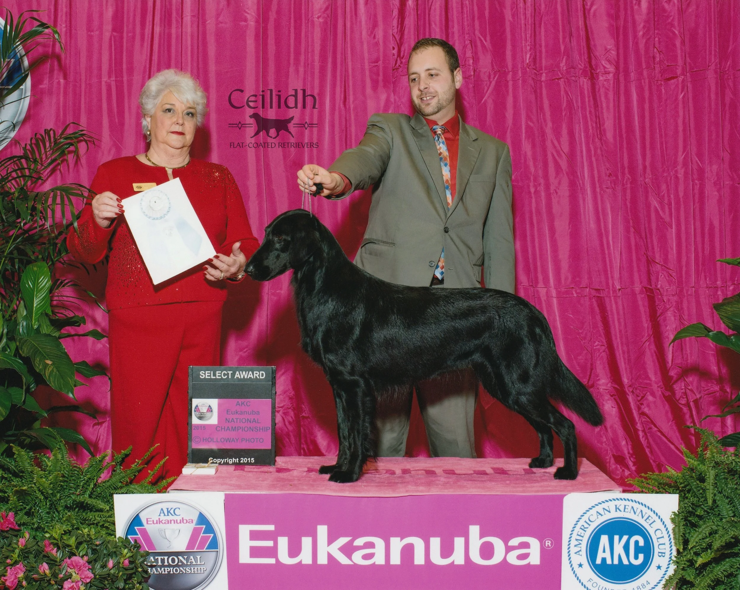 Gracie 2015 AKC National Championship