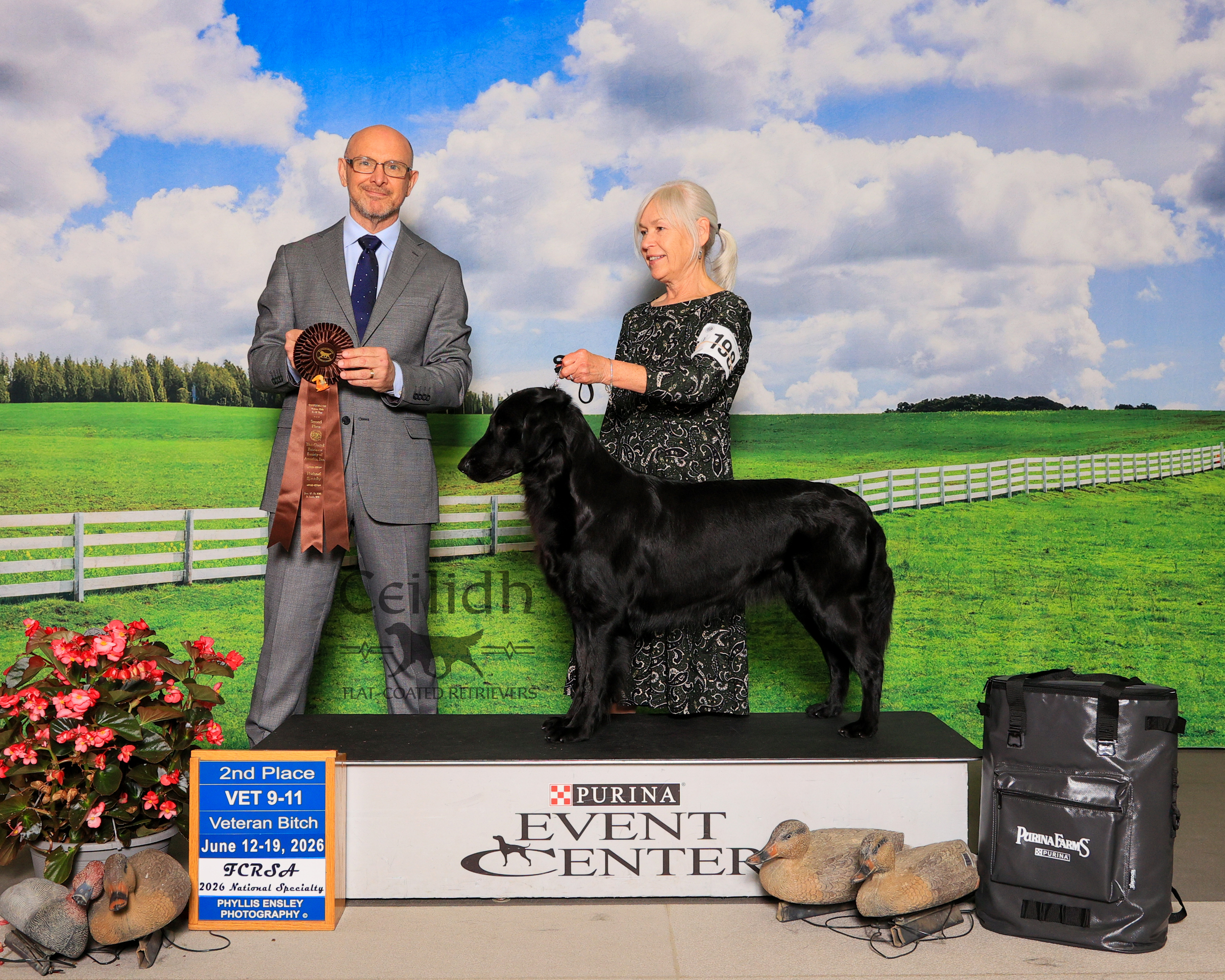 Rosie 2026 FCRSA National Specialty Veteran 9-11 years