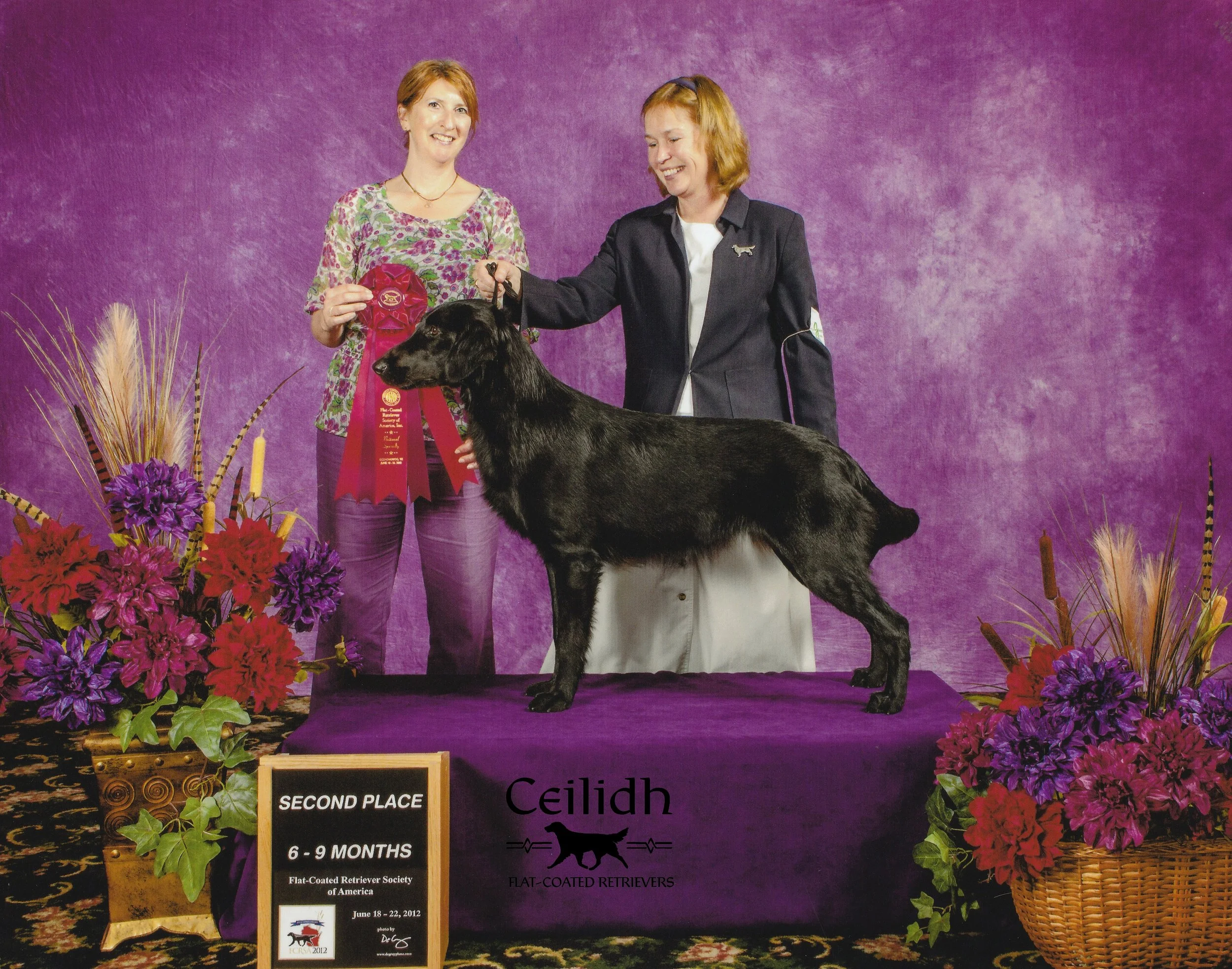 Gracie 2012 FCRSA National Specialty