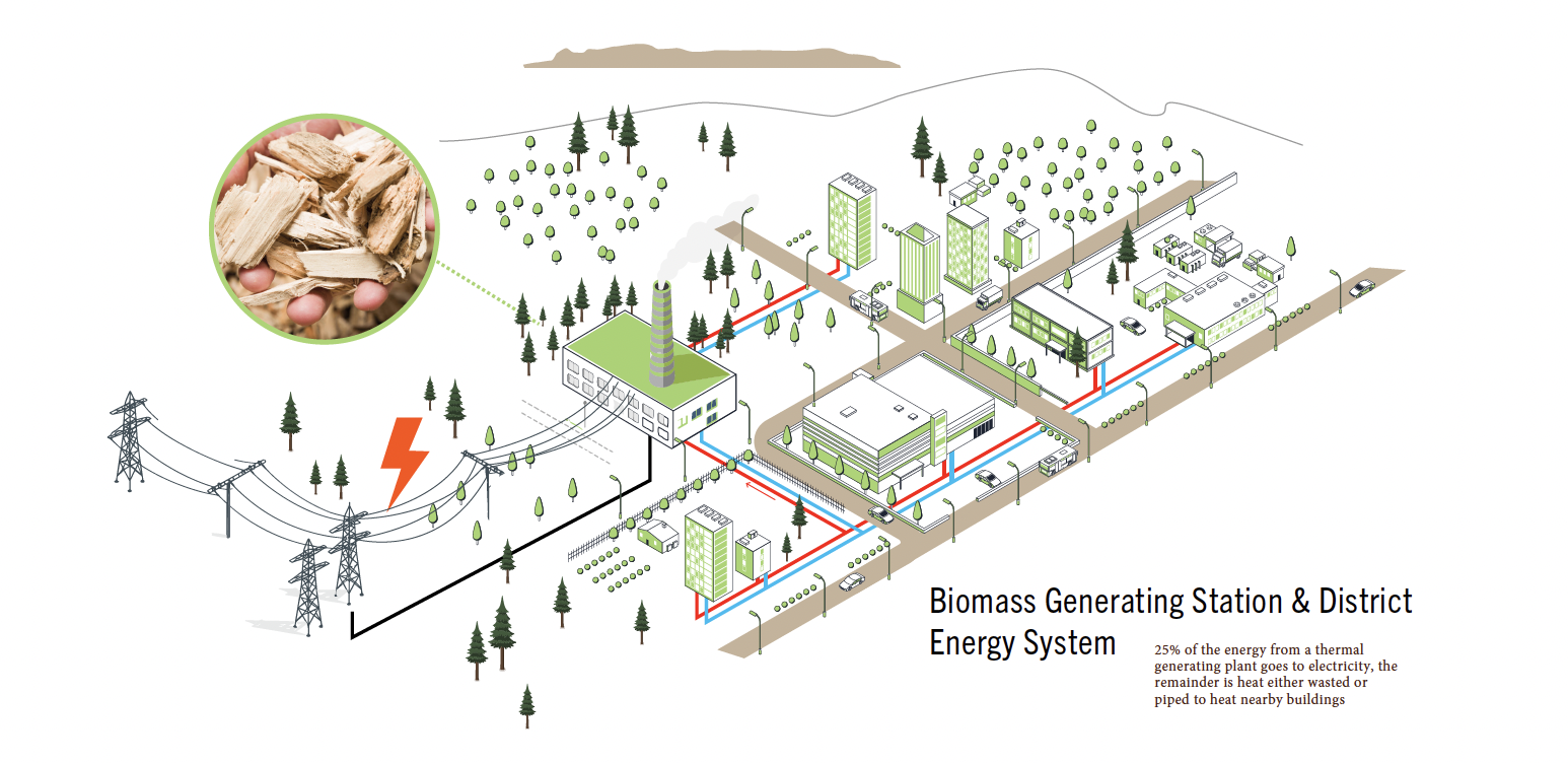 Thunder Bay Wood Energy Roadmap report