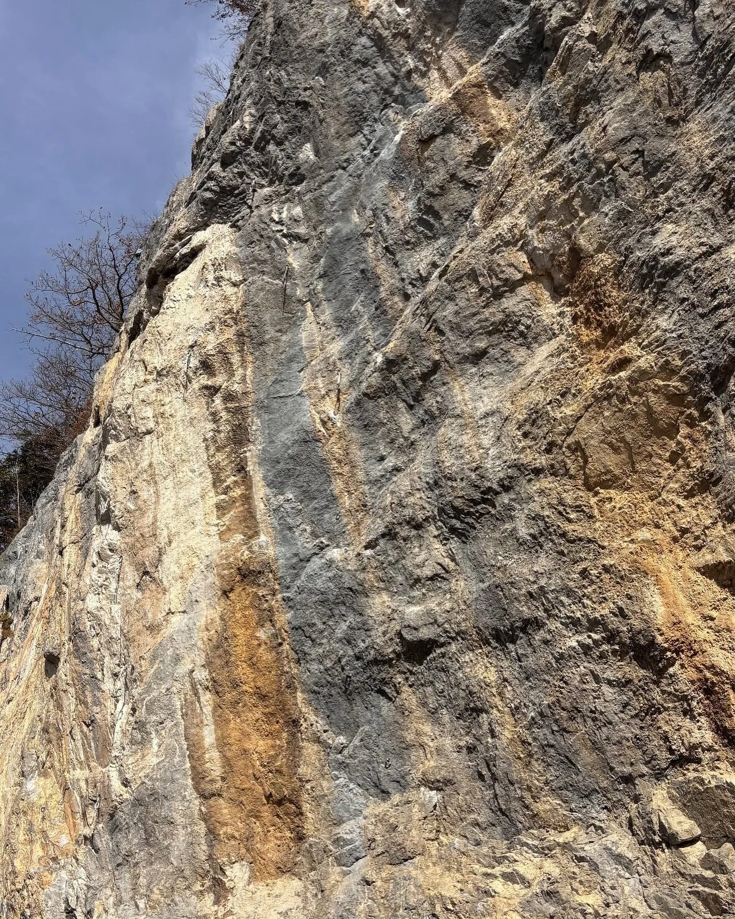 La Temporada de escalada nunca se termina, si no se escala aqu&iacute; se escalada all&aacute; #escalando #climbing #climning_is_my_passion #sportclimbig