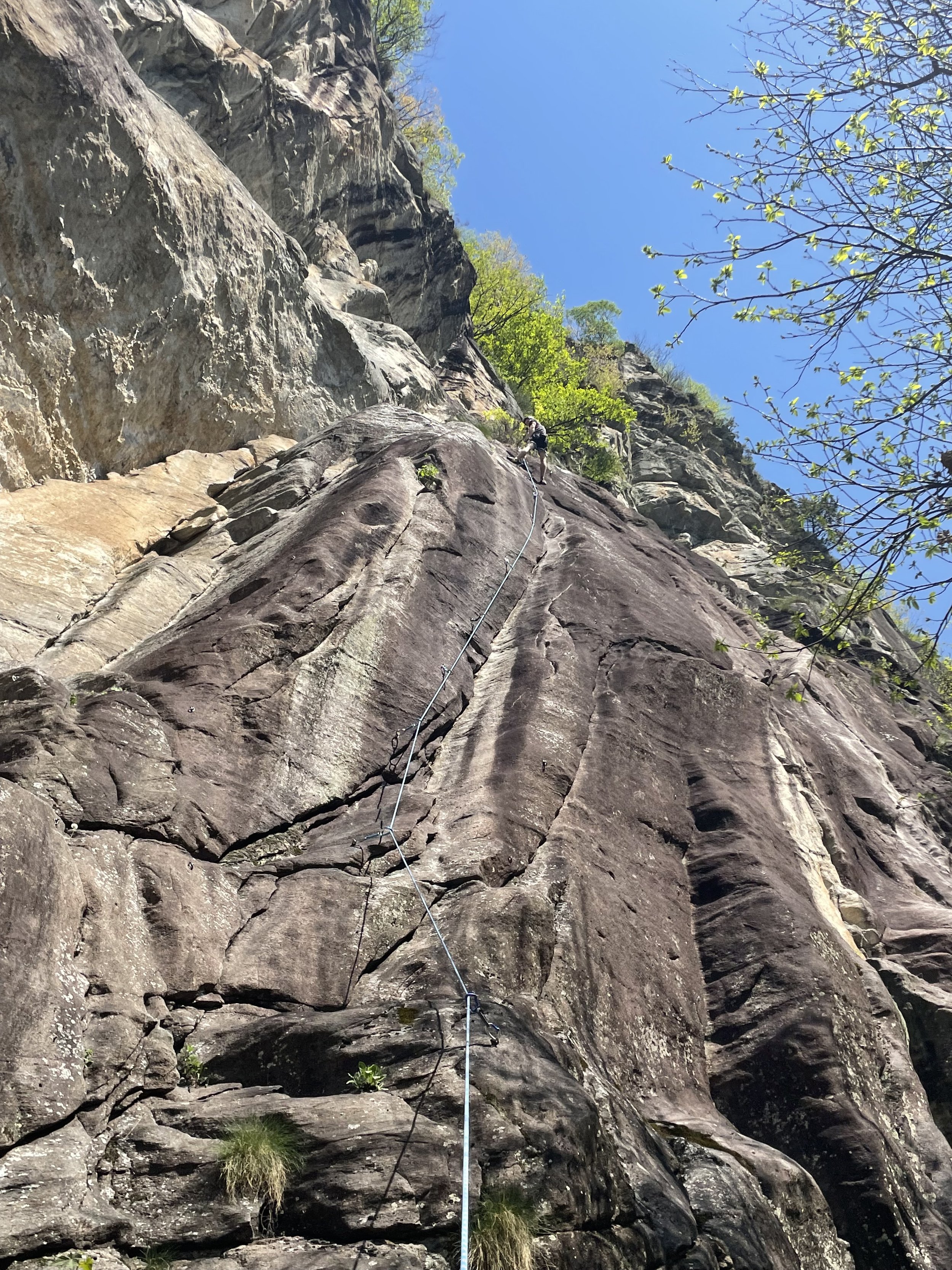 Mittagfluh 1440 m.ü.M