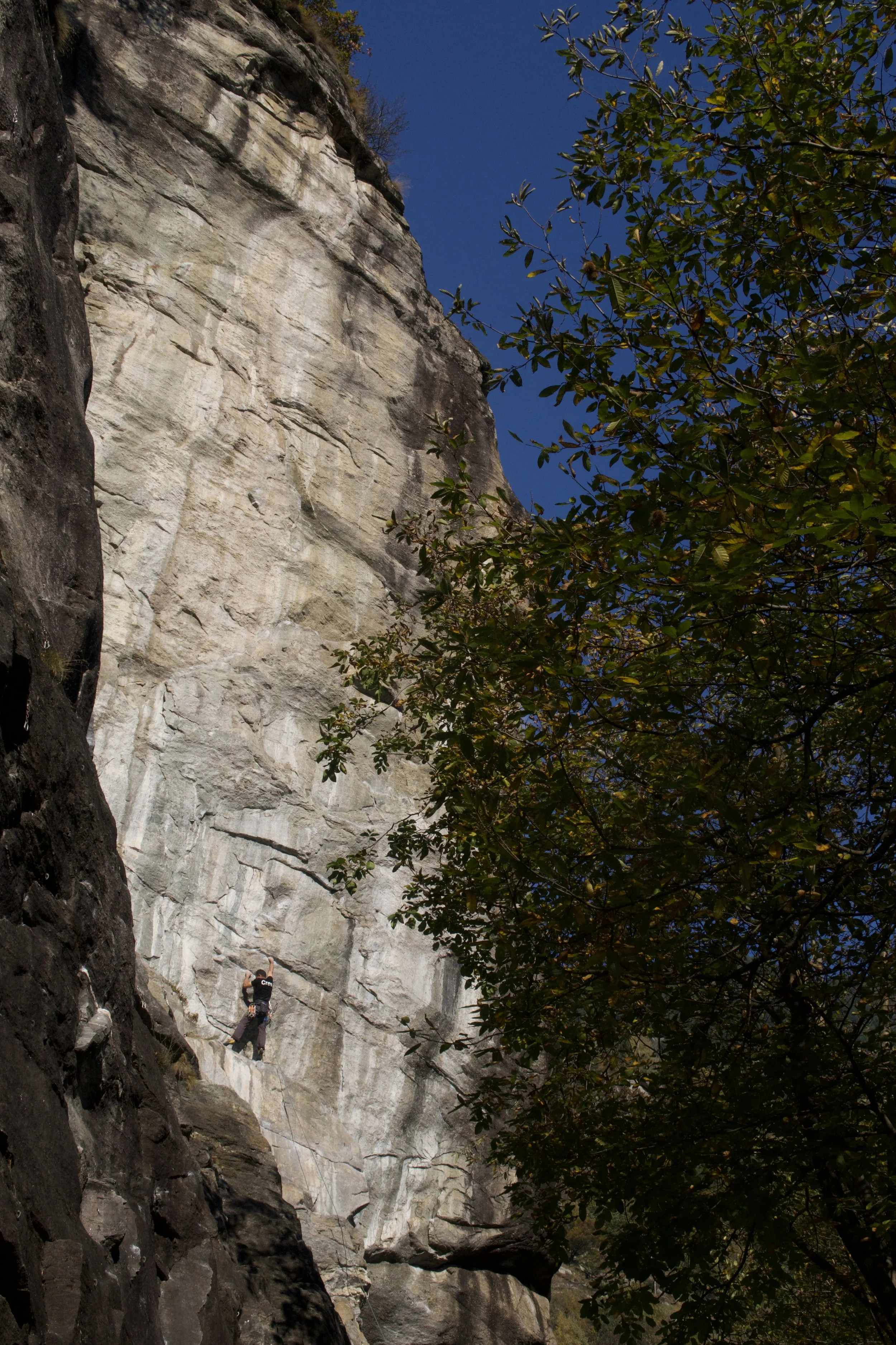 Kletterer an einer steilen Felswand mit blauer Himmel im Hintergrund, umgeben von Bäumen.