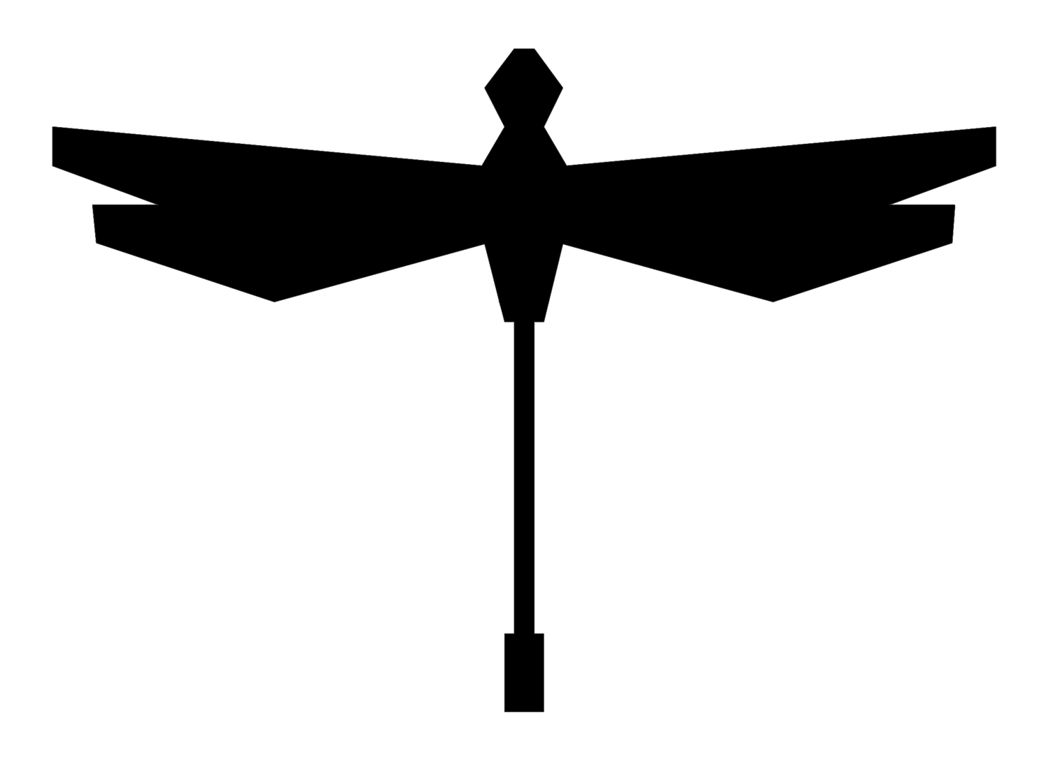 Amberwing Collective