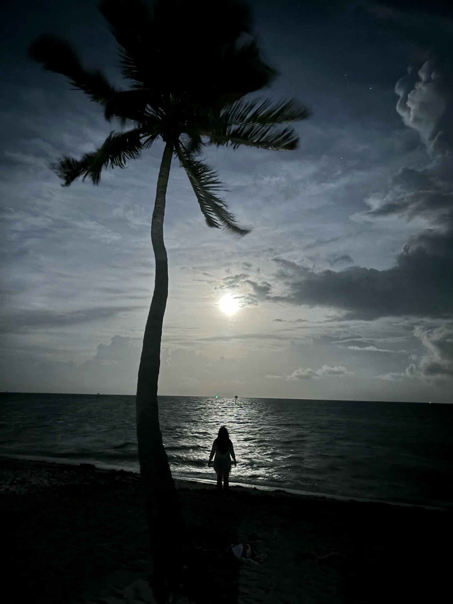 Lunar Harmony Reading