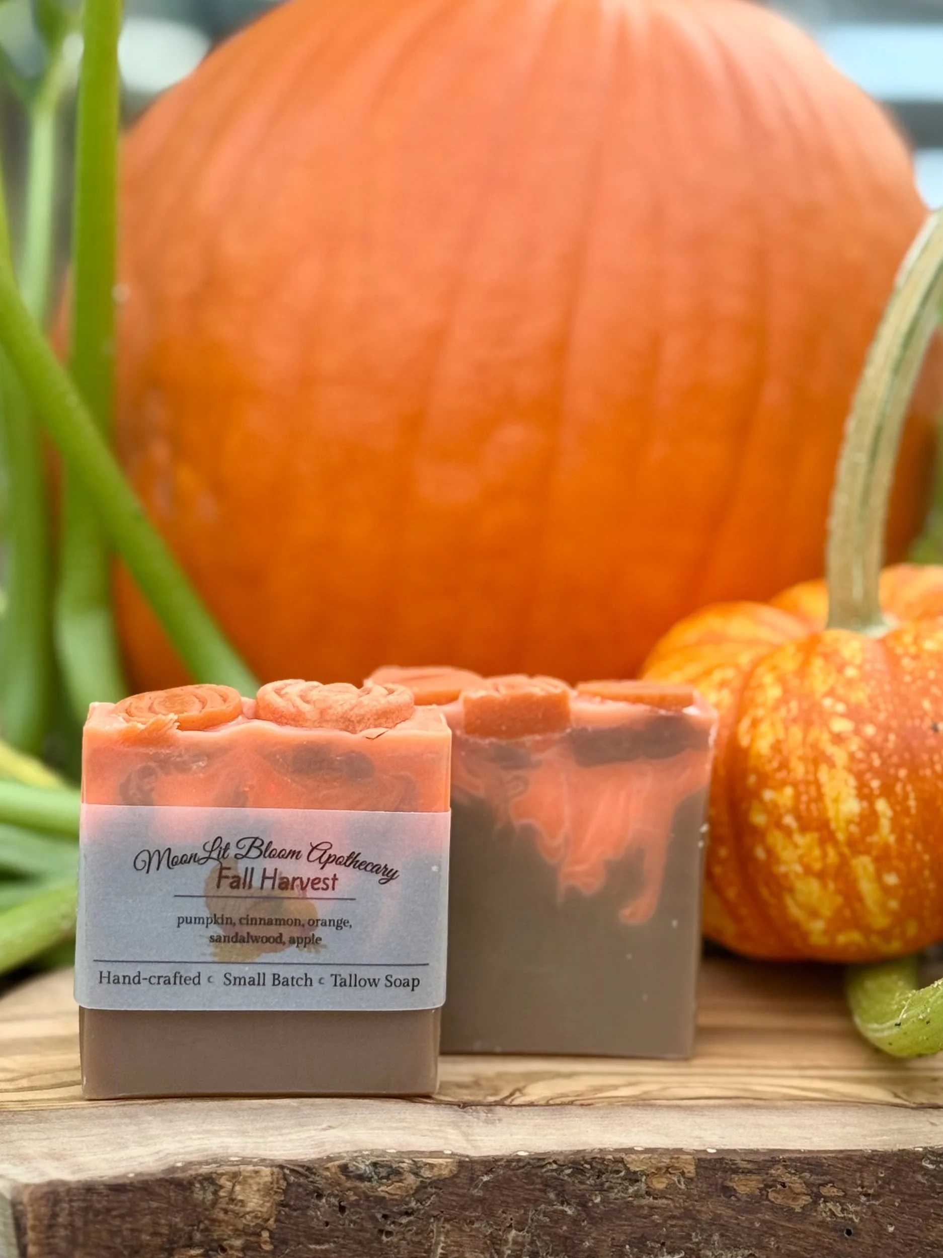 MoonLit Misfits Soap Bars