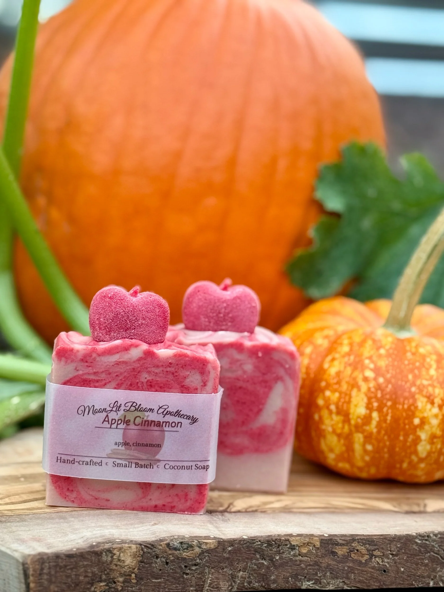 MoonLit Misfits Soap Bars
