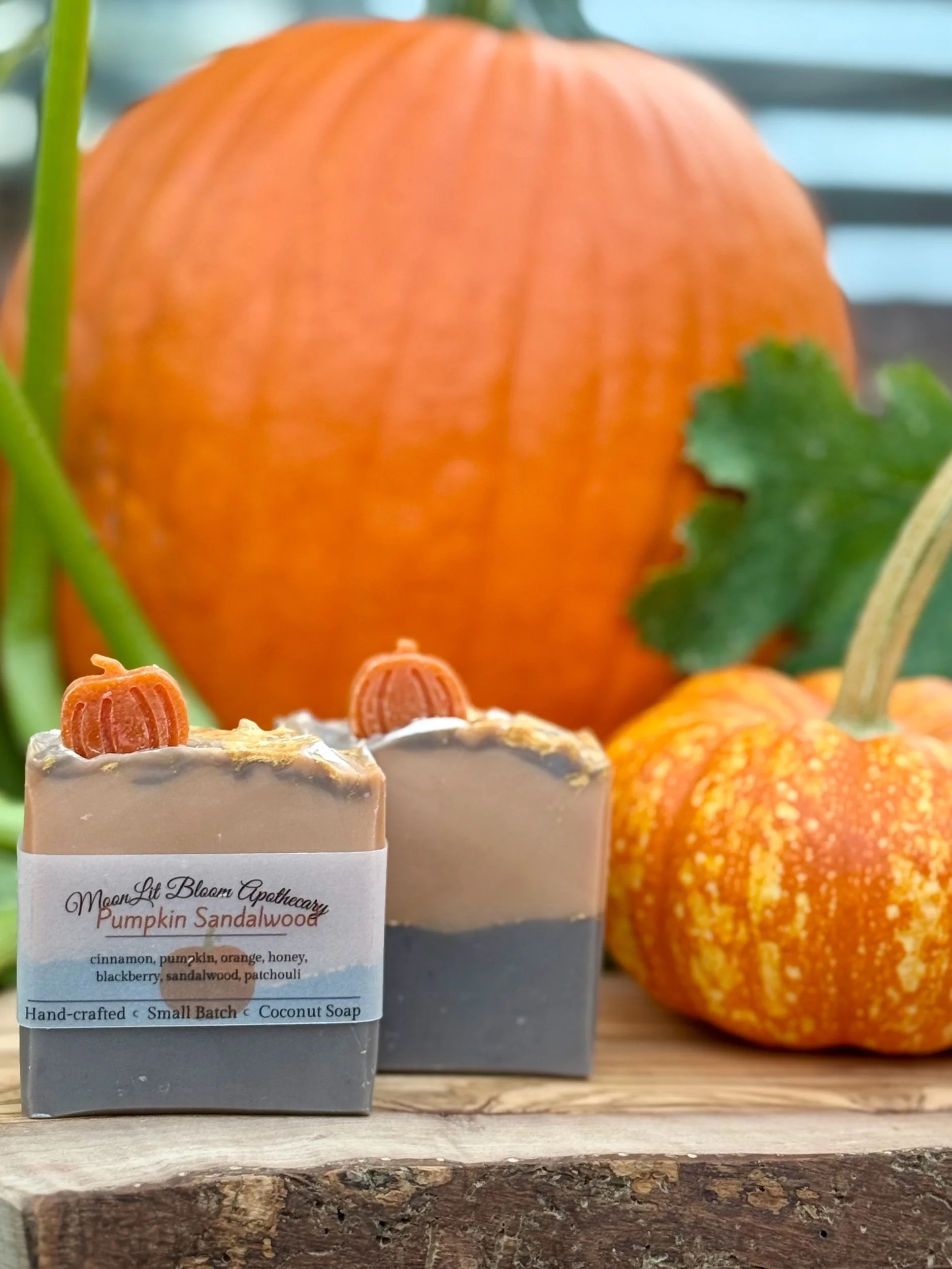 MoonLit Misfits Soap Bars