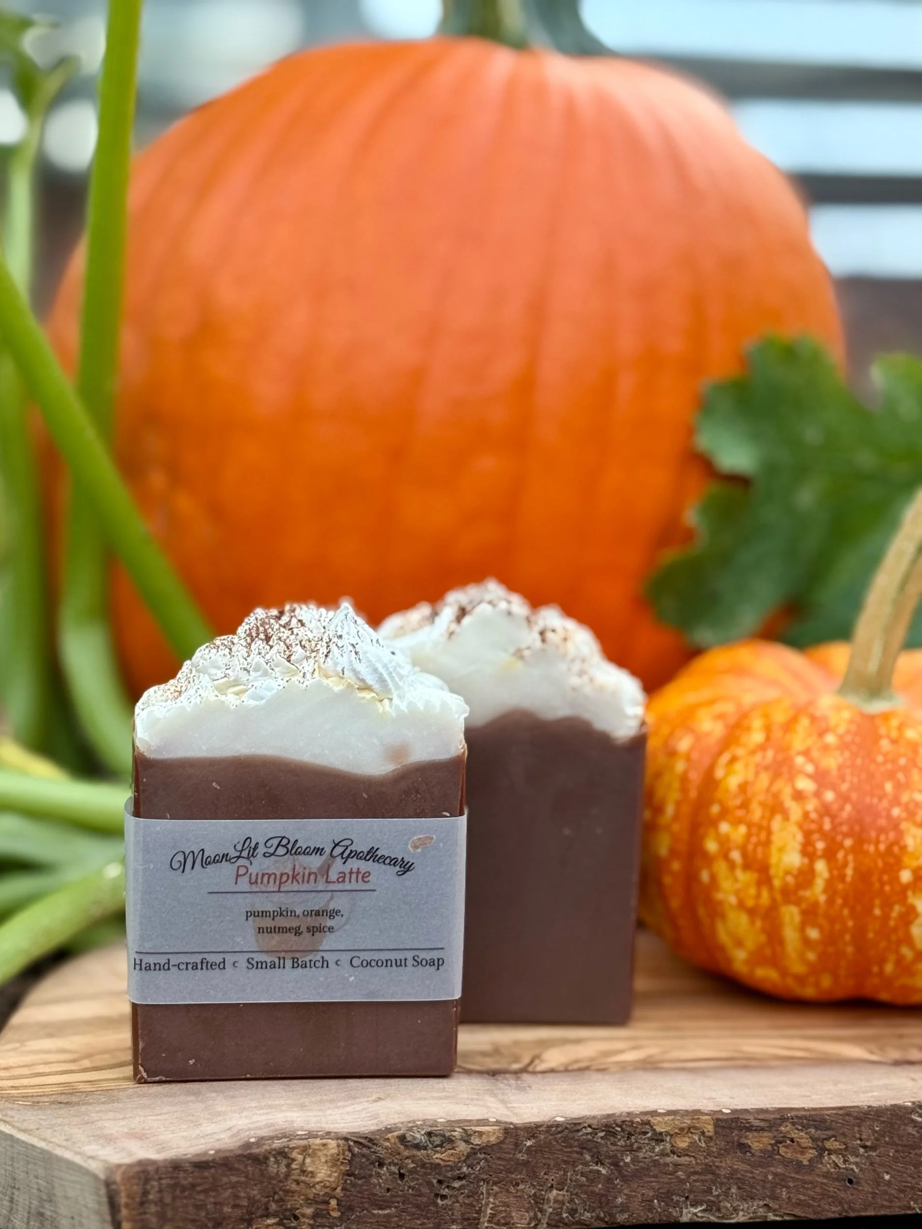 MoonLit Misfits Soap Bars