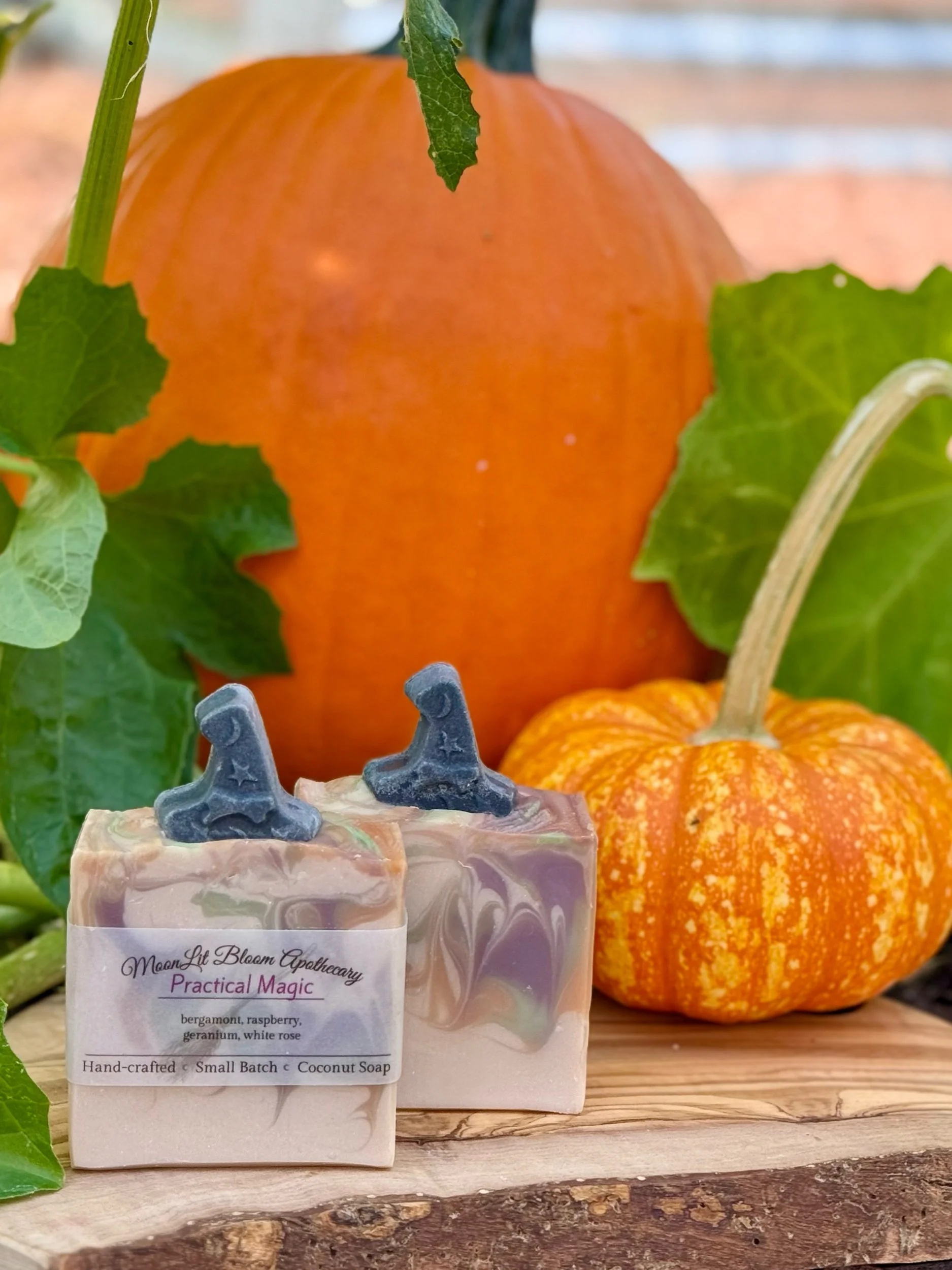 MoonLit Misfits Soap Bars