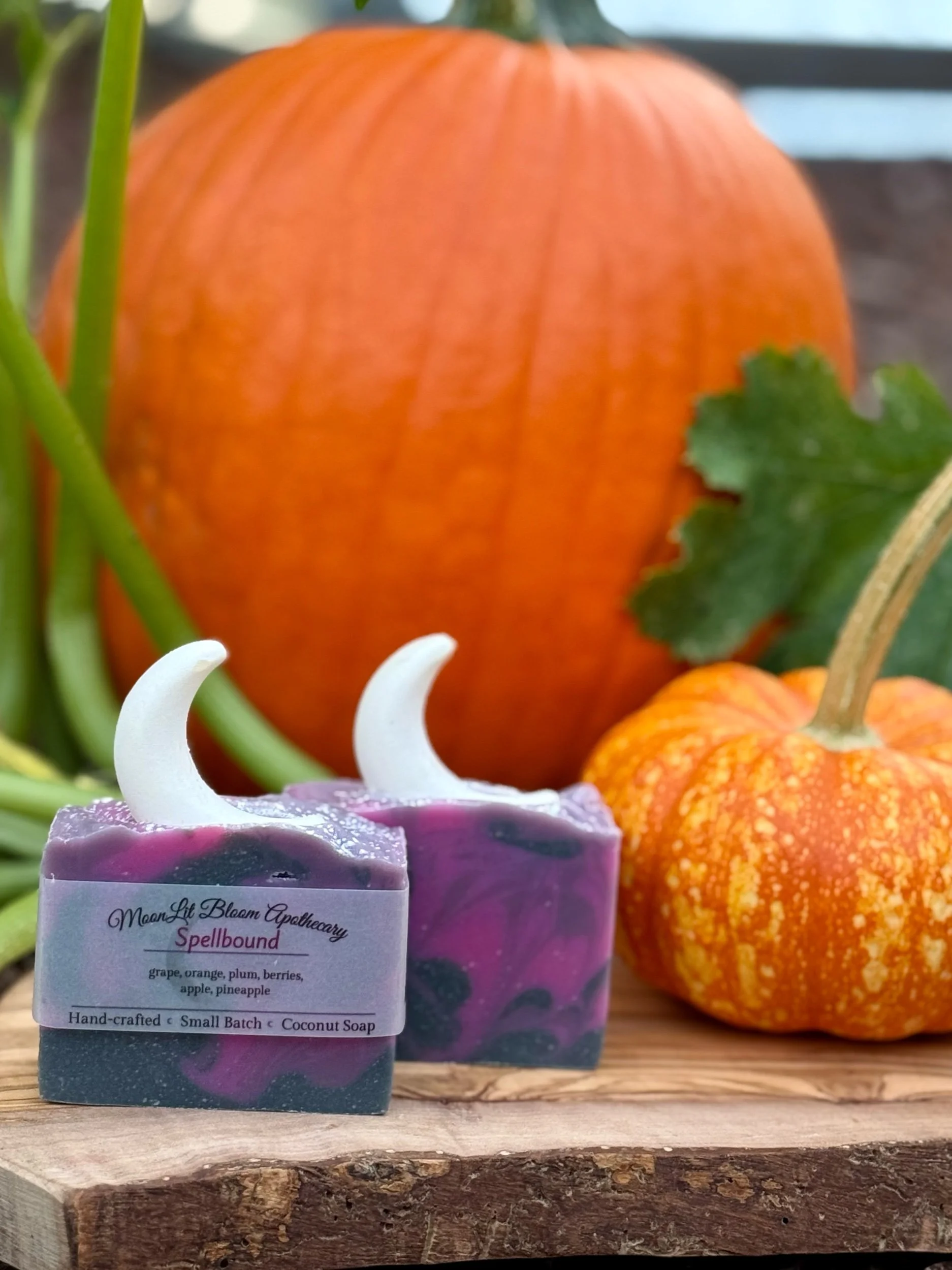 MoonLit Misfits Soap Bars
