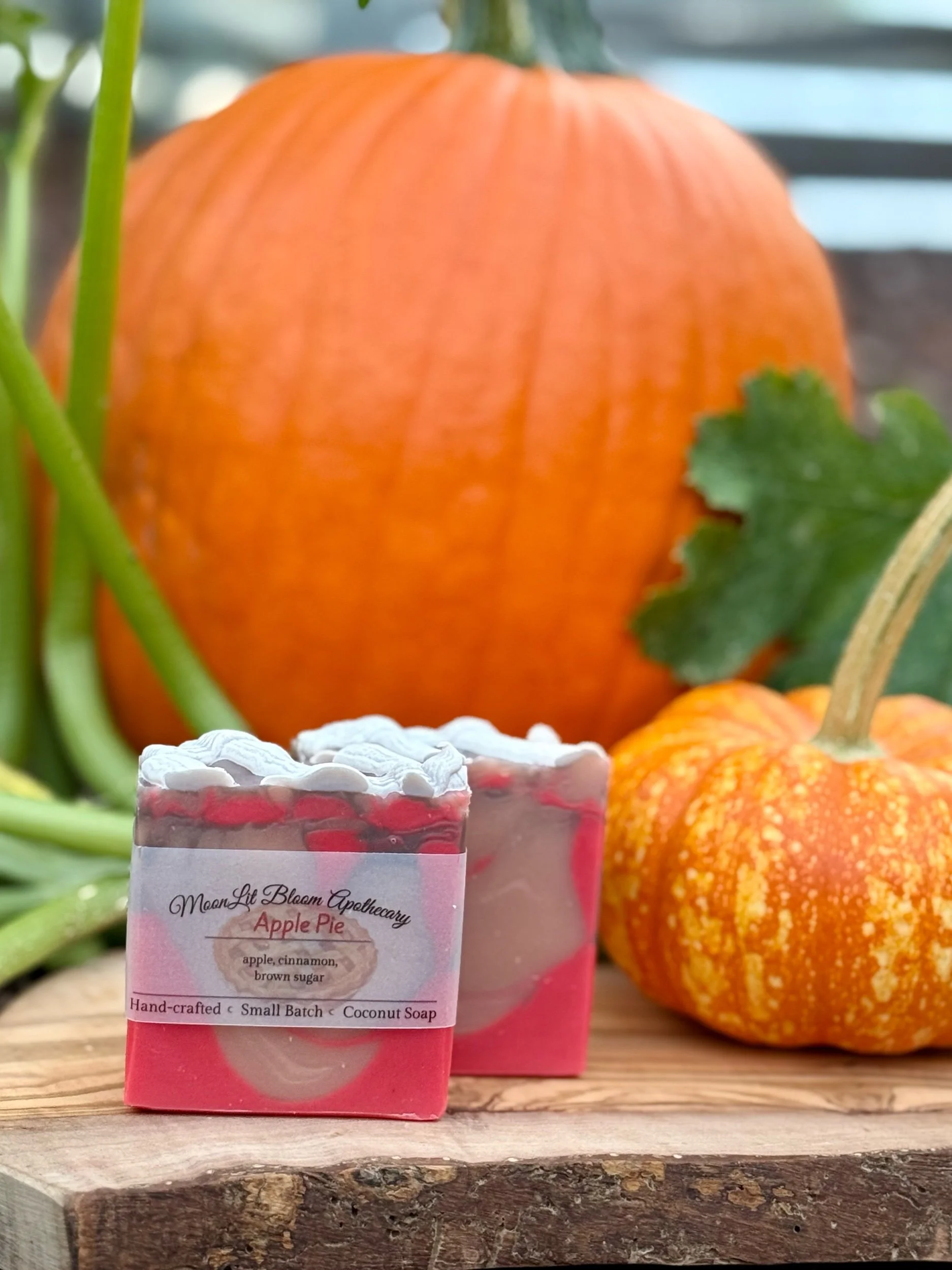 MoonLit Misfits Soap Bars