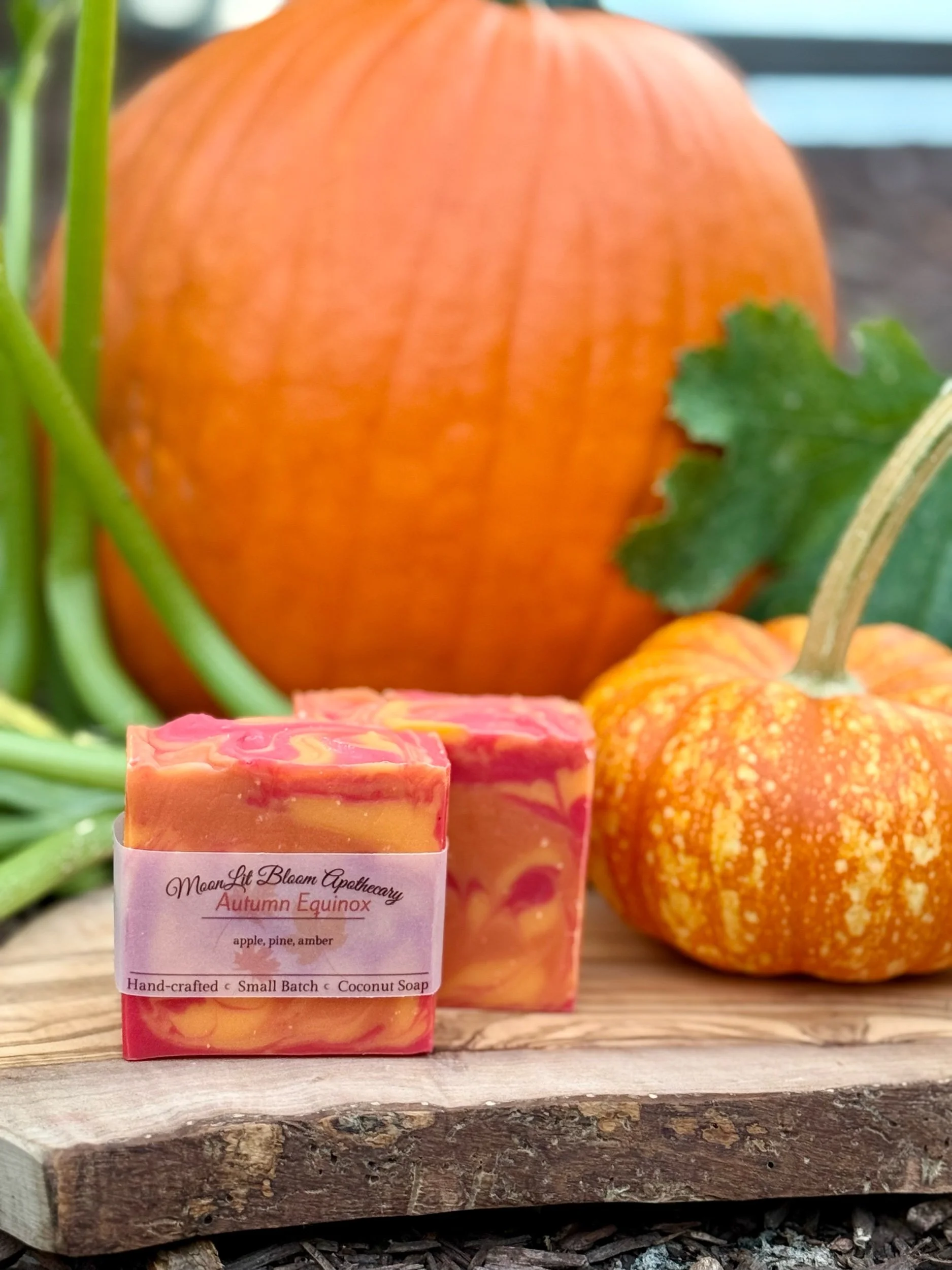 MoonLit Misfits Soap Bars