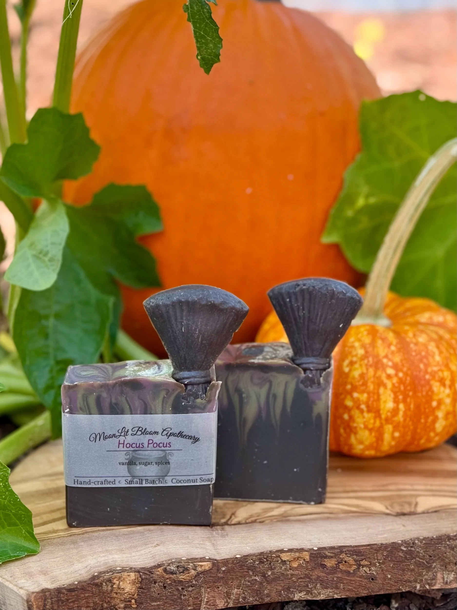 MoonLit Misfits Soap Bars