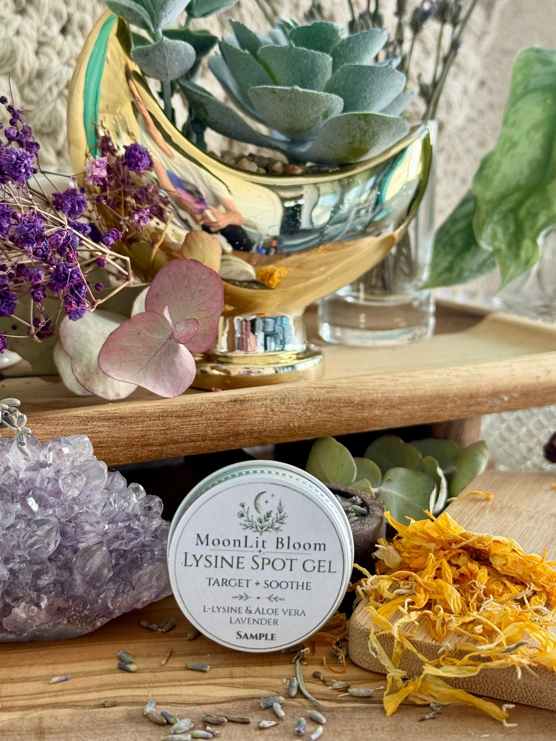 The Healing Collection: Natural First Aid