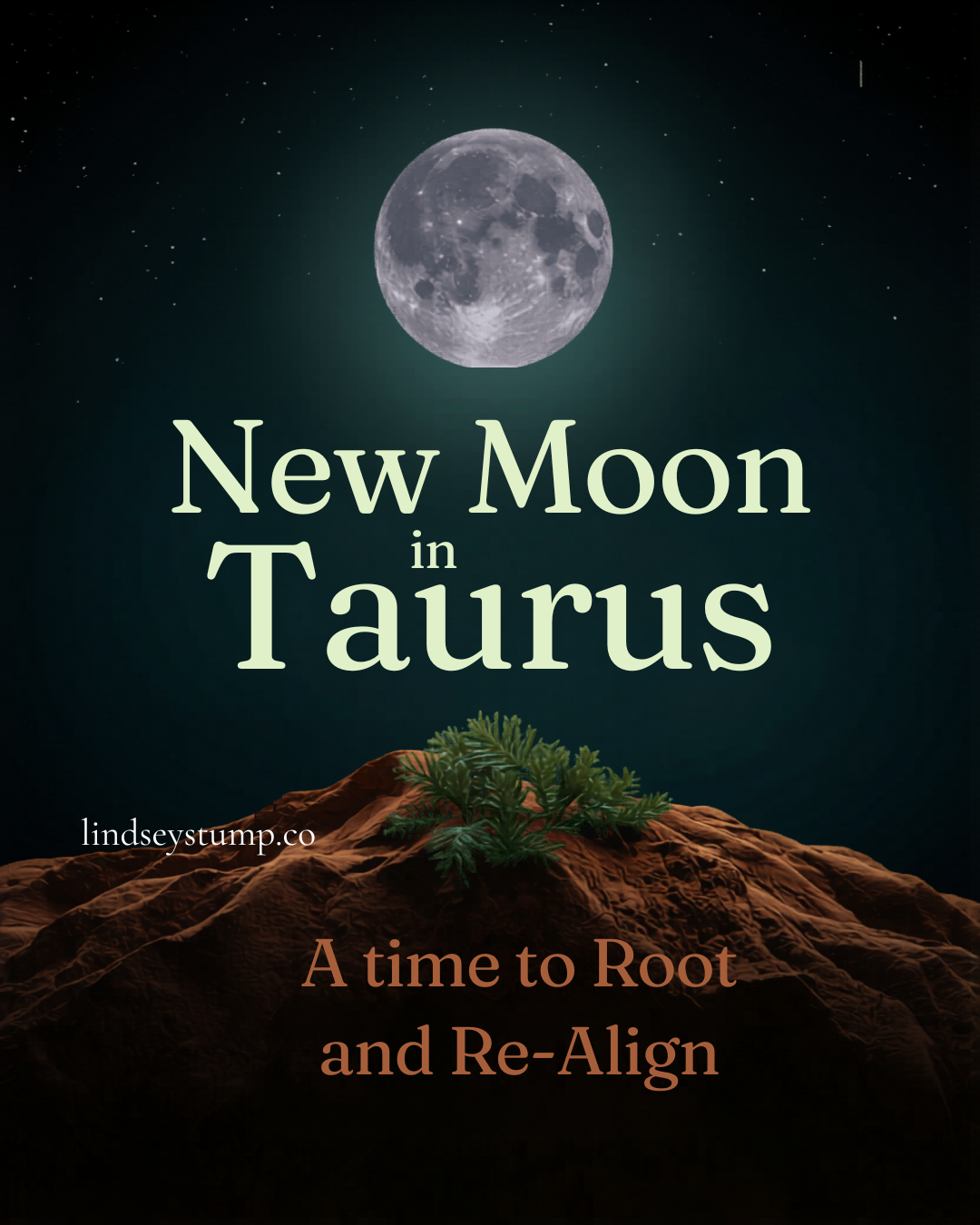 New Moon in Taurus 2026: Slow Down, Get Honest &amp; Plant Something Real