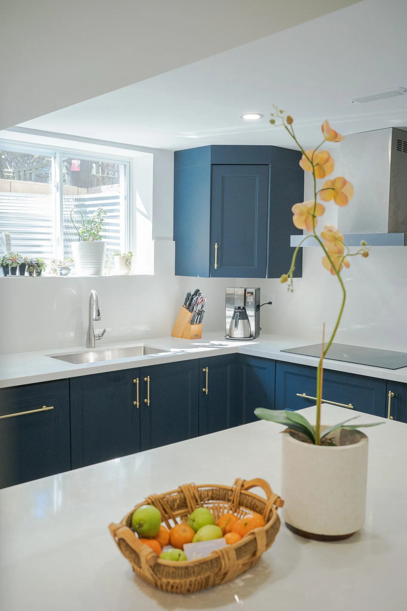 A modern kitchen with blue lower cabinets and a matching blue corner upper cabinet, white countertops, a window with potted plants, and a basket of apples and oranges on the counter.