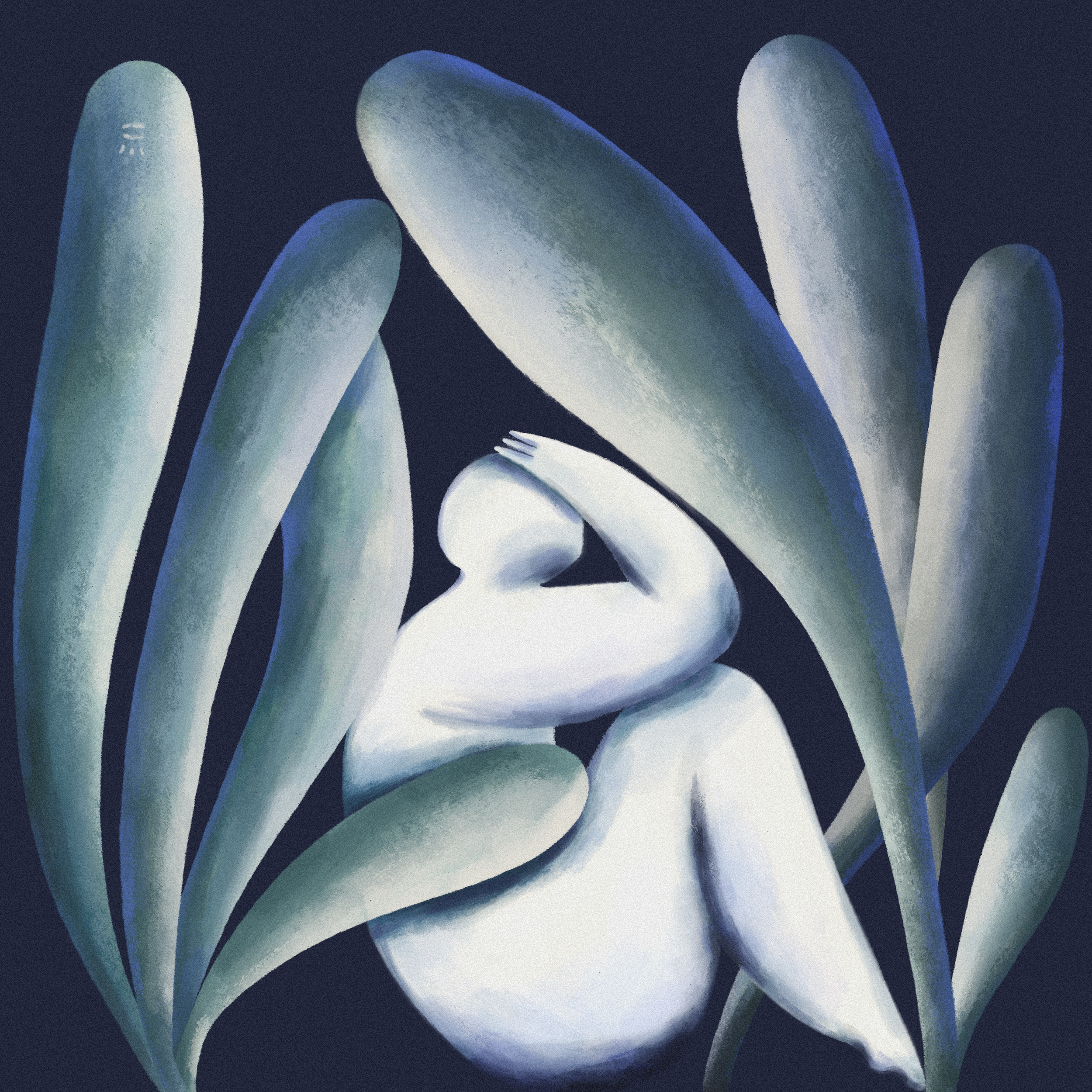 71.png