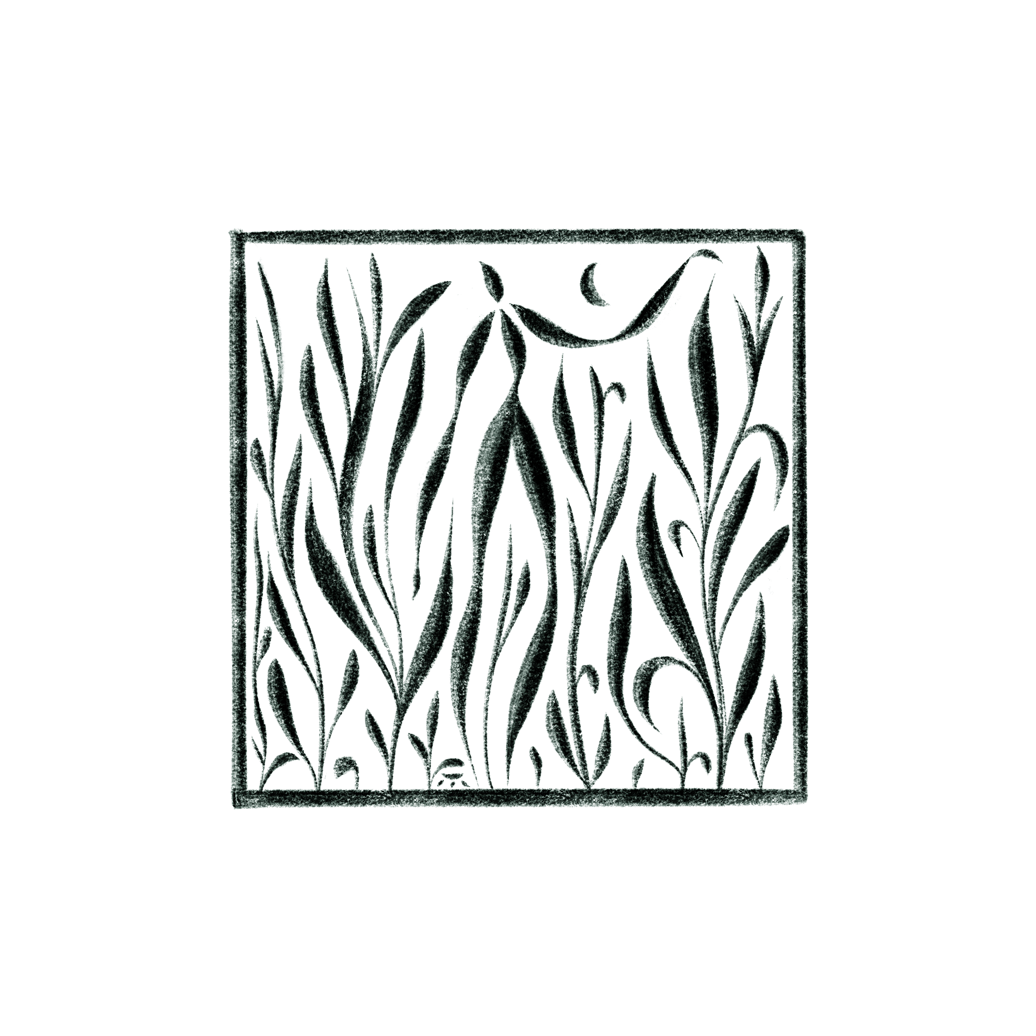 48.png
