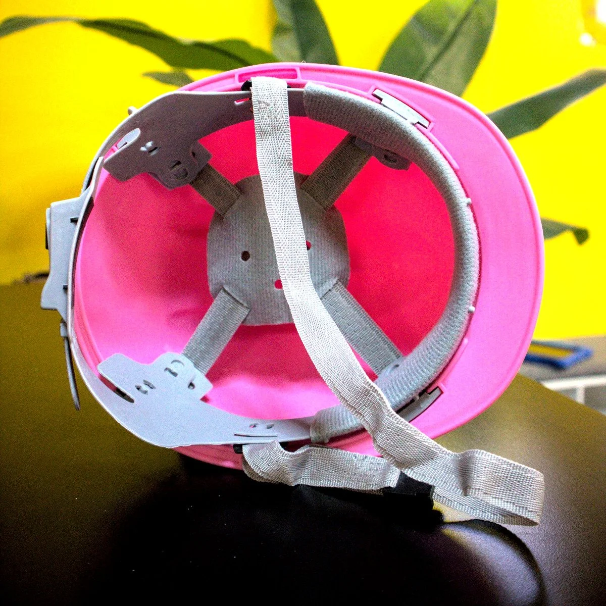 pink_interior.jpg